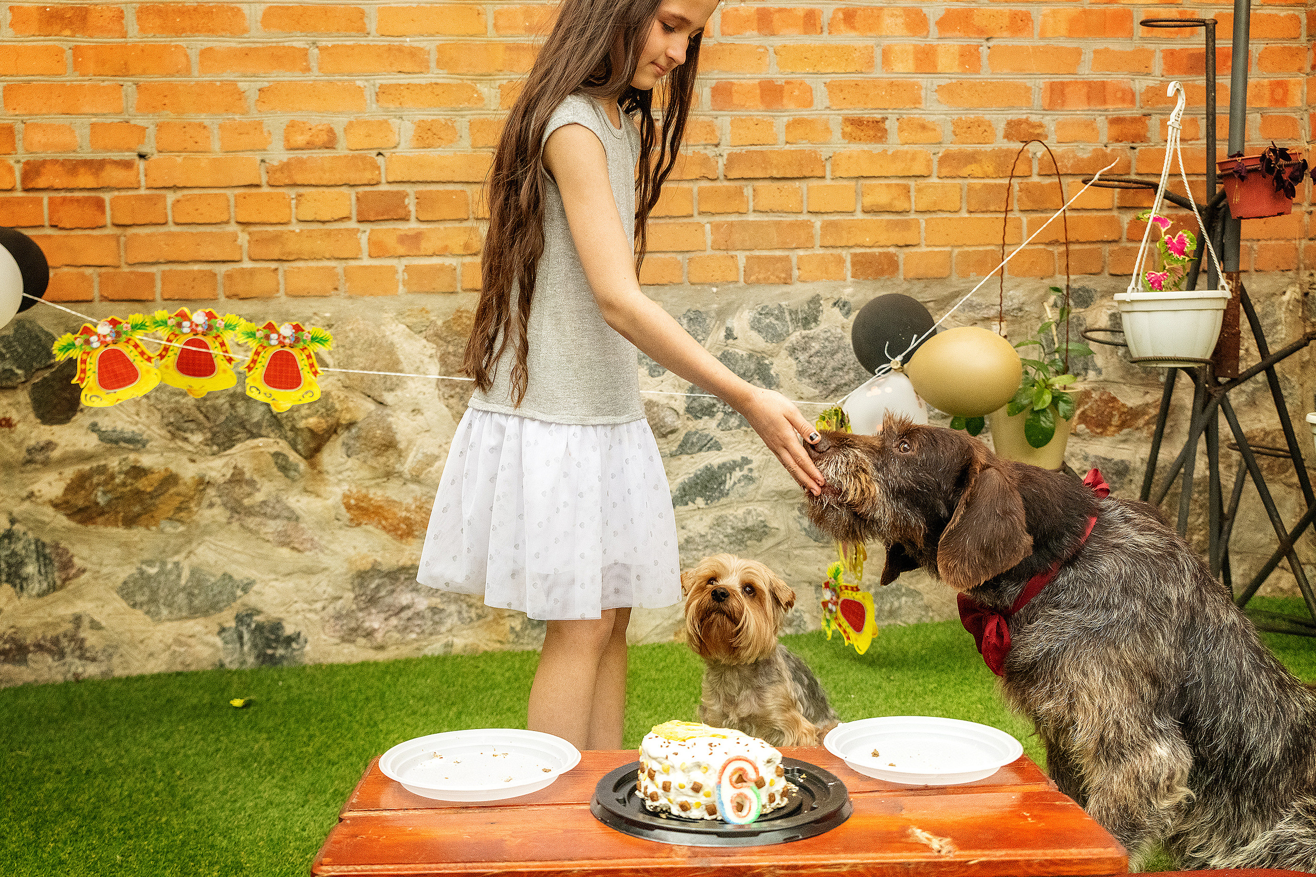 Pets birthday. Фотограф в Запоріжжі та Європі