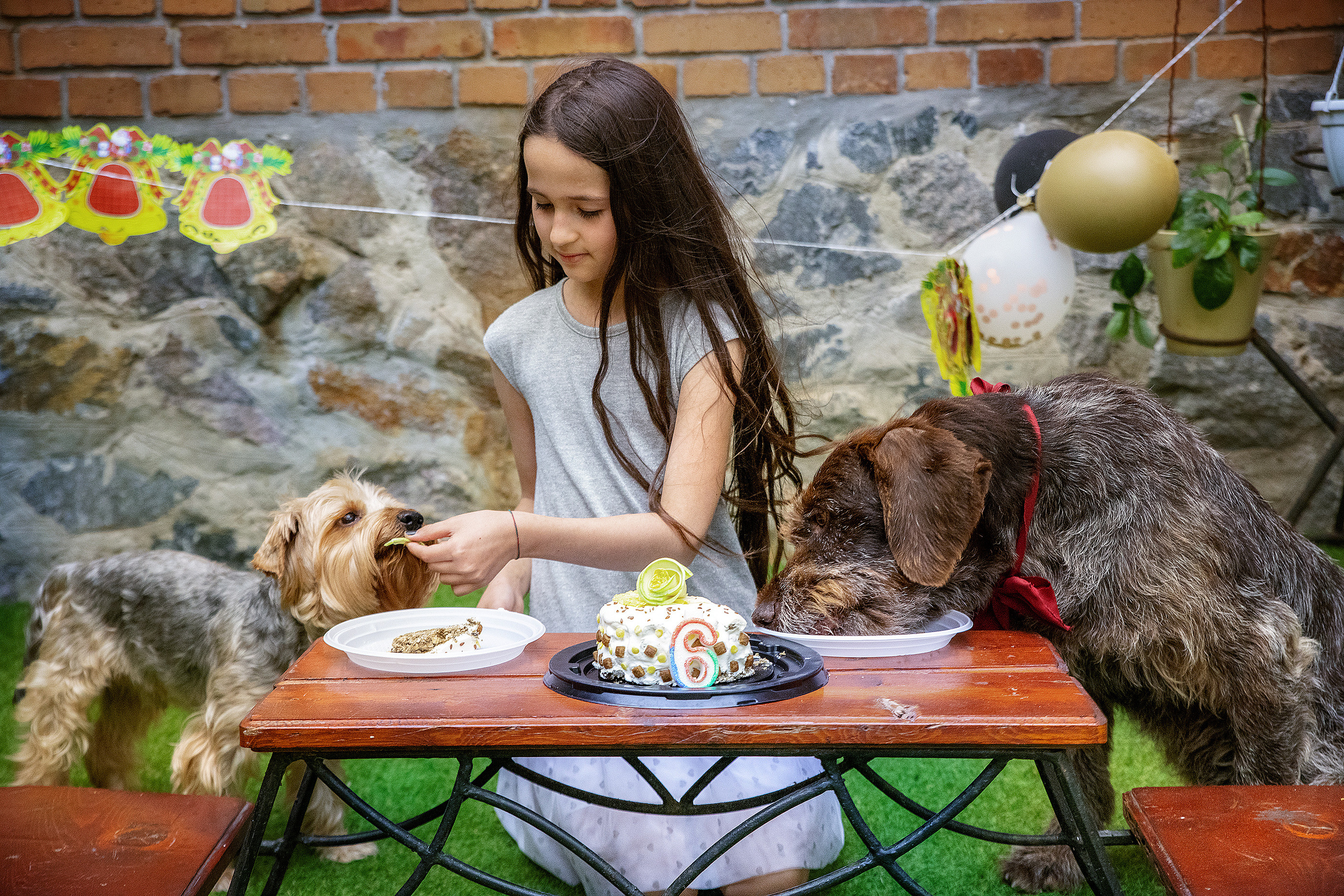 Pets birthday. Фотограф в Запоріжжі та Європі