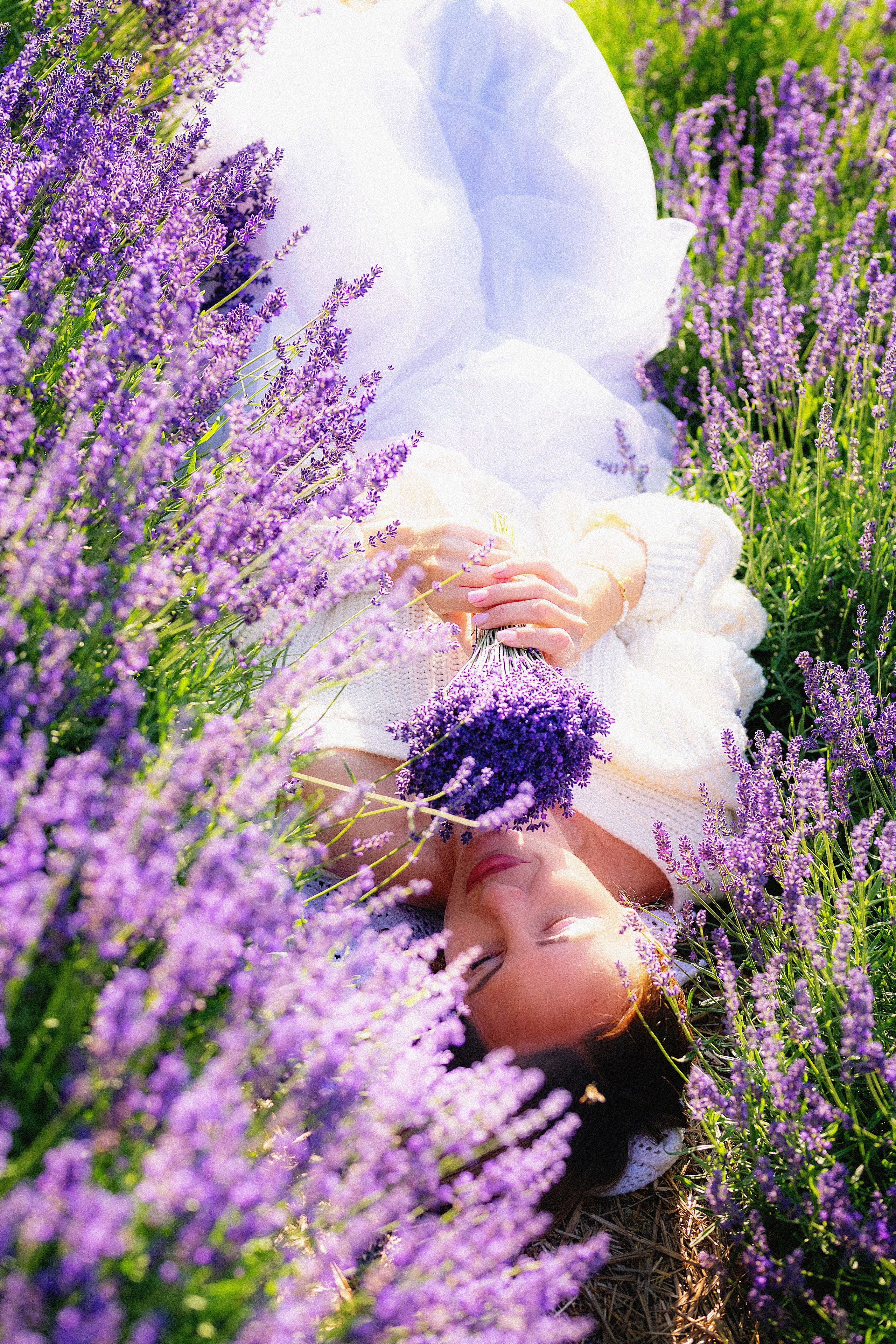 Лавандовий рай. Фотограф в Запоріжжі та Європі