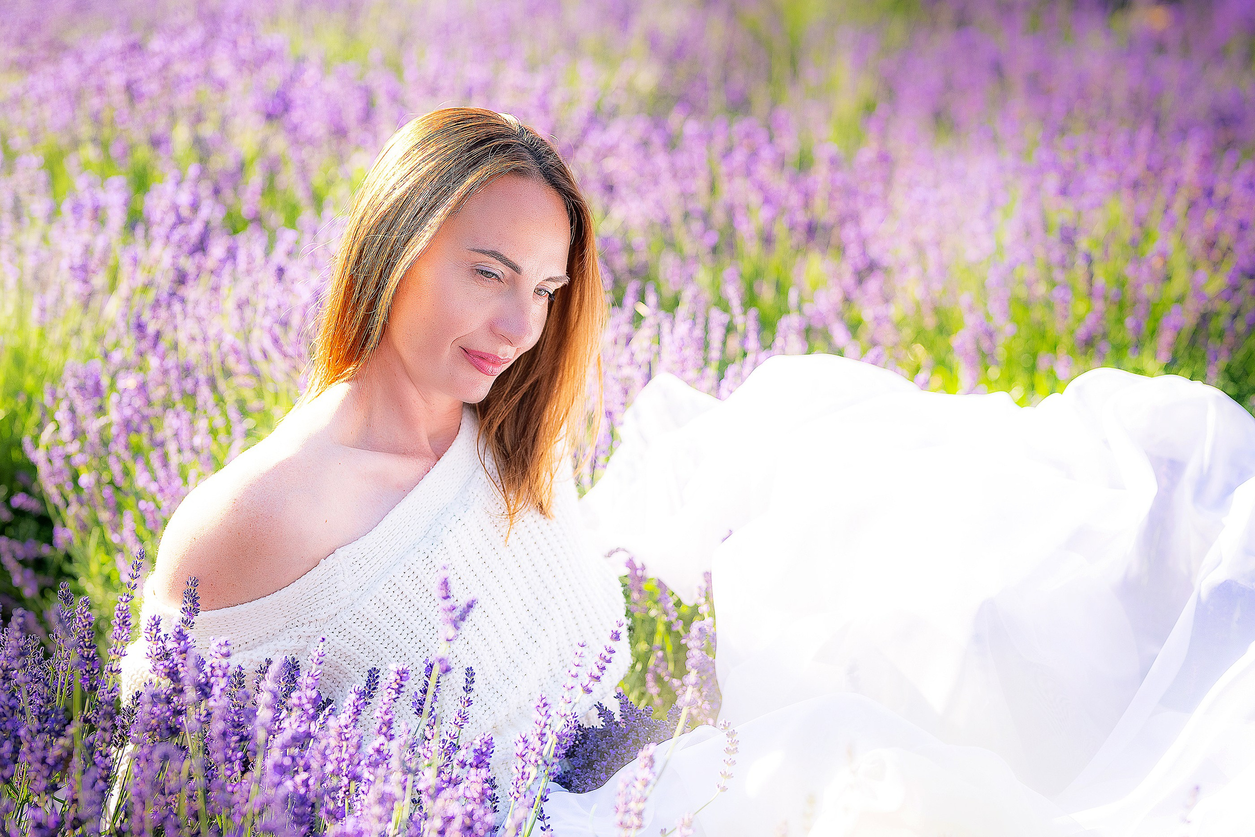 Лавандовий рай. Фотограф в Запоріжжі та Європі