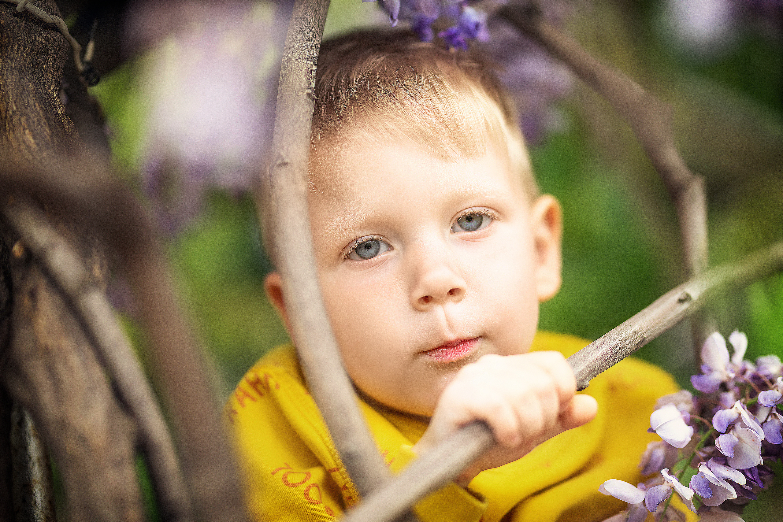 Фотосессия в глицинии. Фотограф в Запоріжжі та Європі