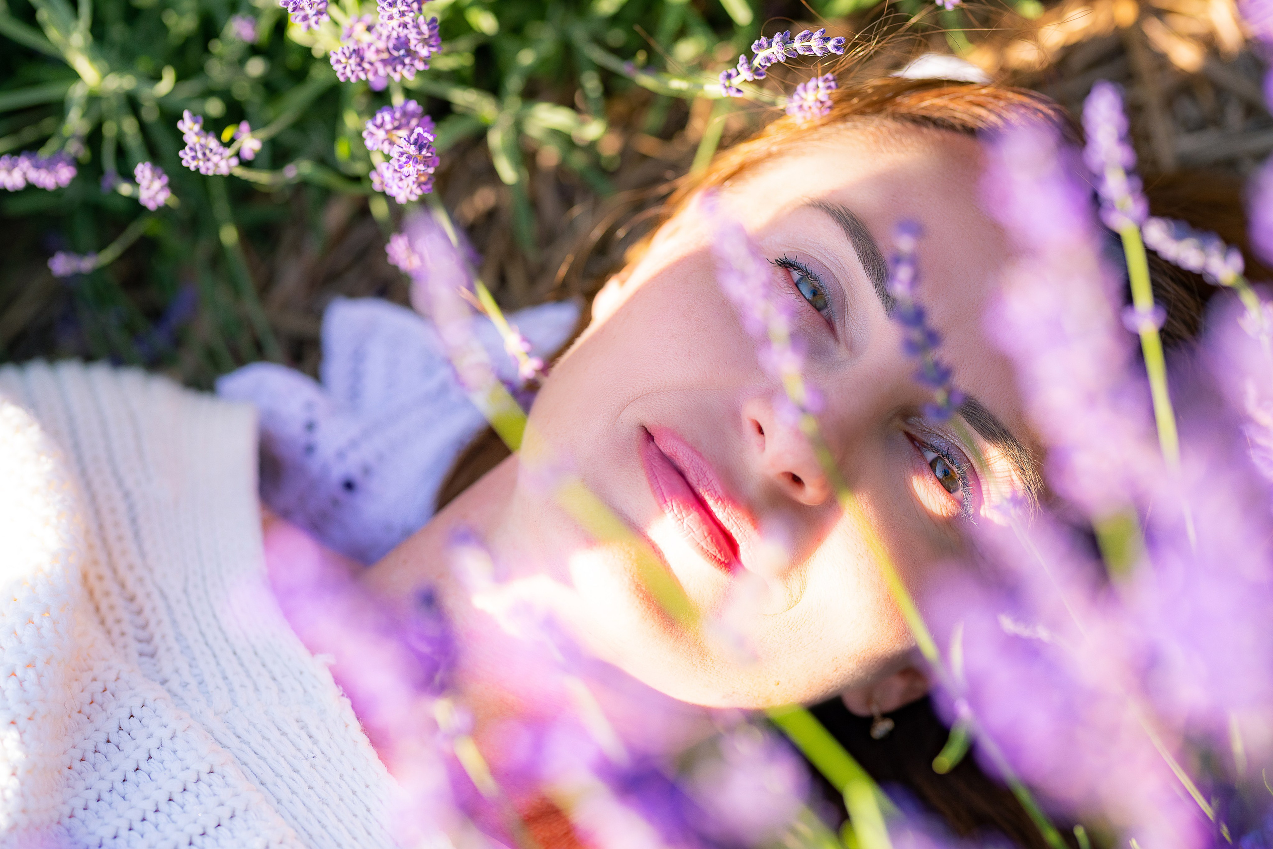 Лавандовий рай. Фотограф в Запоріжжі та Європі