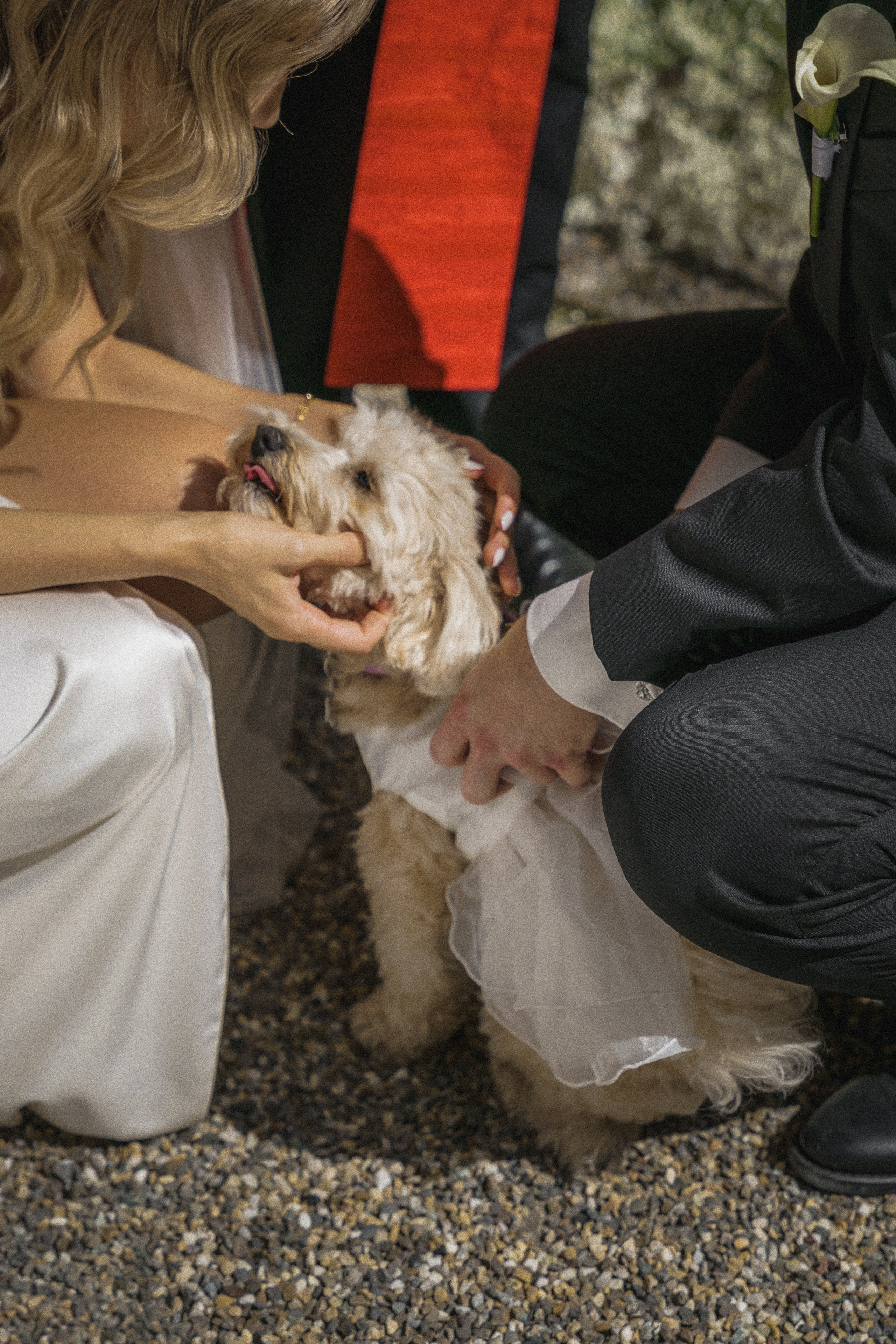 Jakob & Milena, Germany. Wedding photographer Tatyana Harmash in Ukraine and Europe