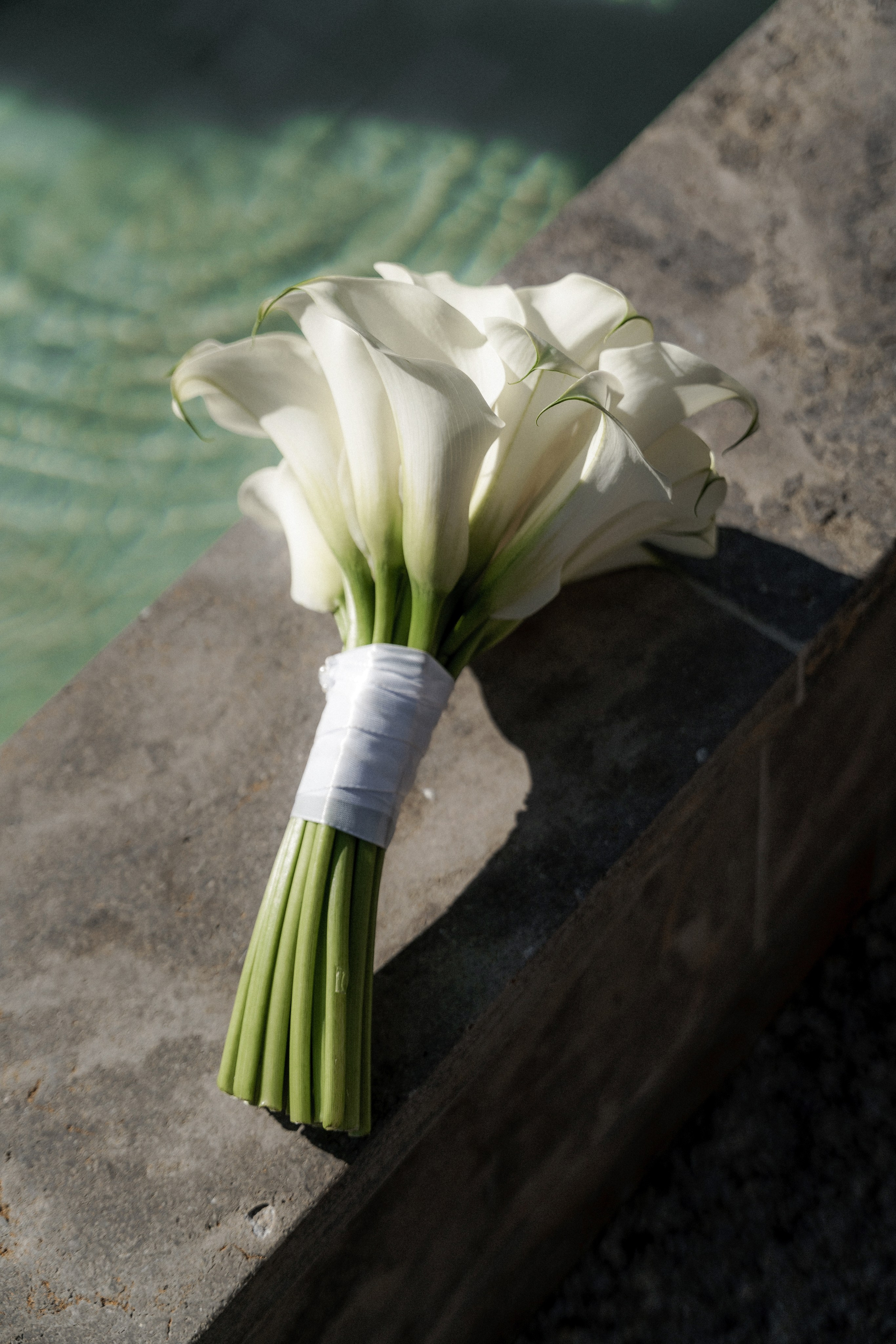 Jakob & Milena, Germany