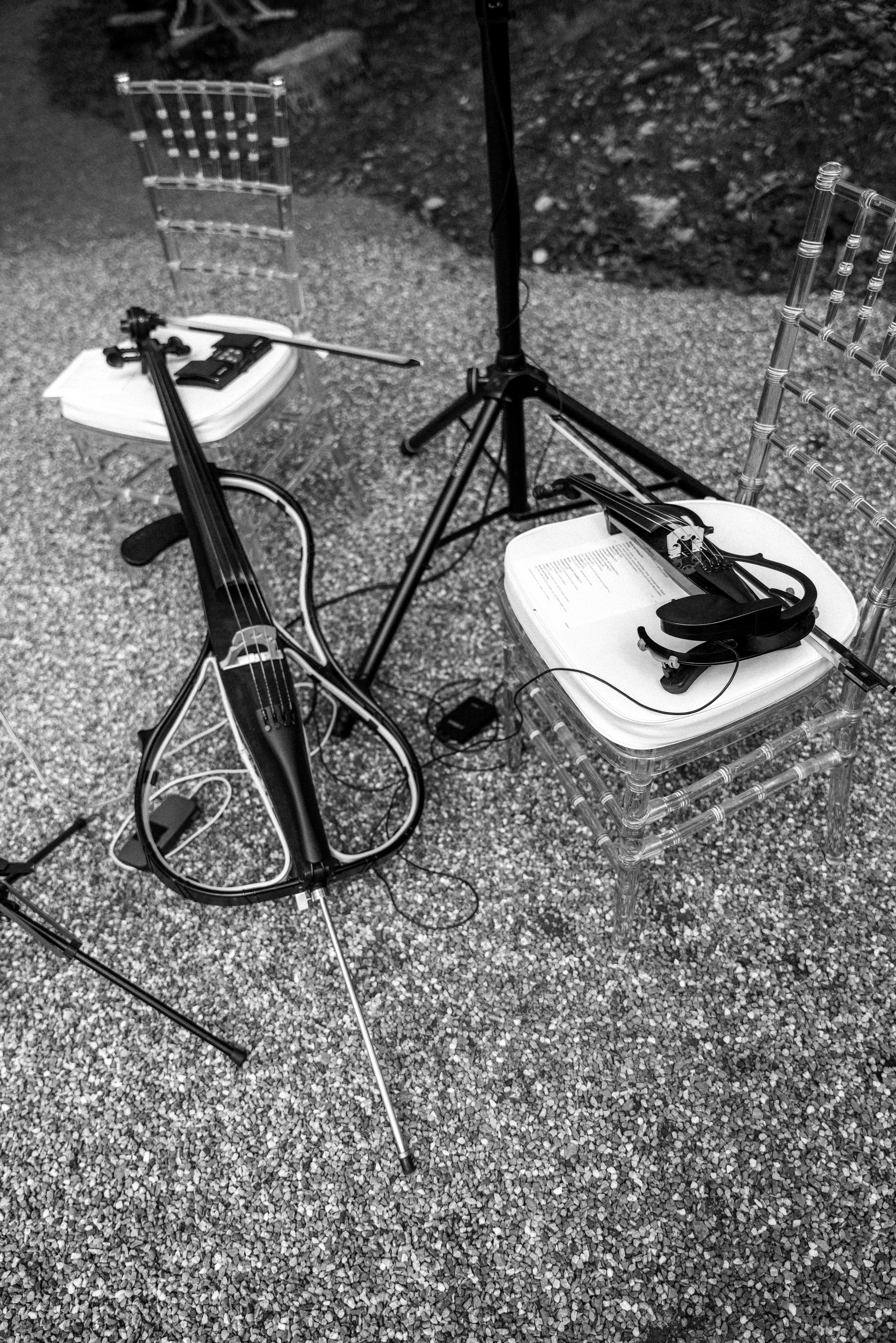 Jakob & Milena, Germany