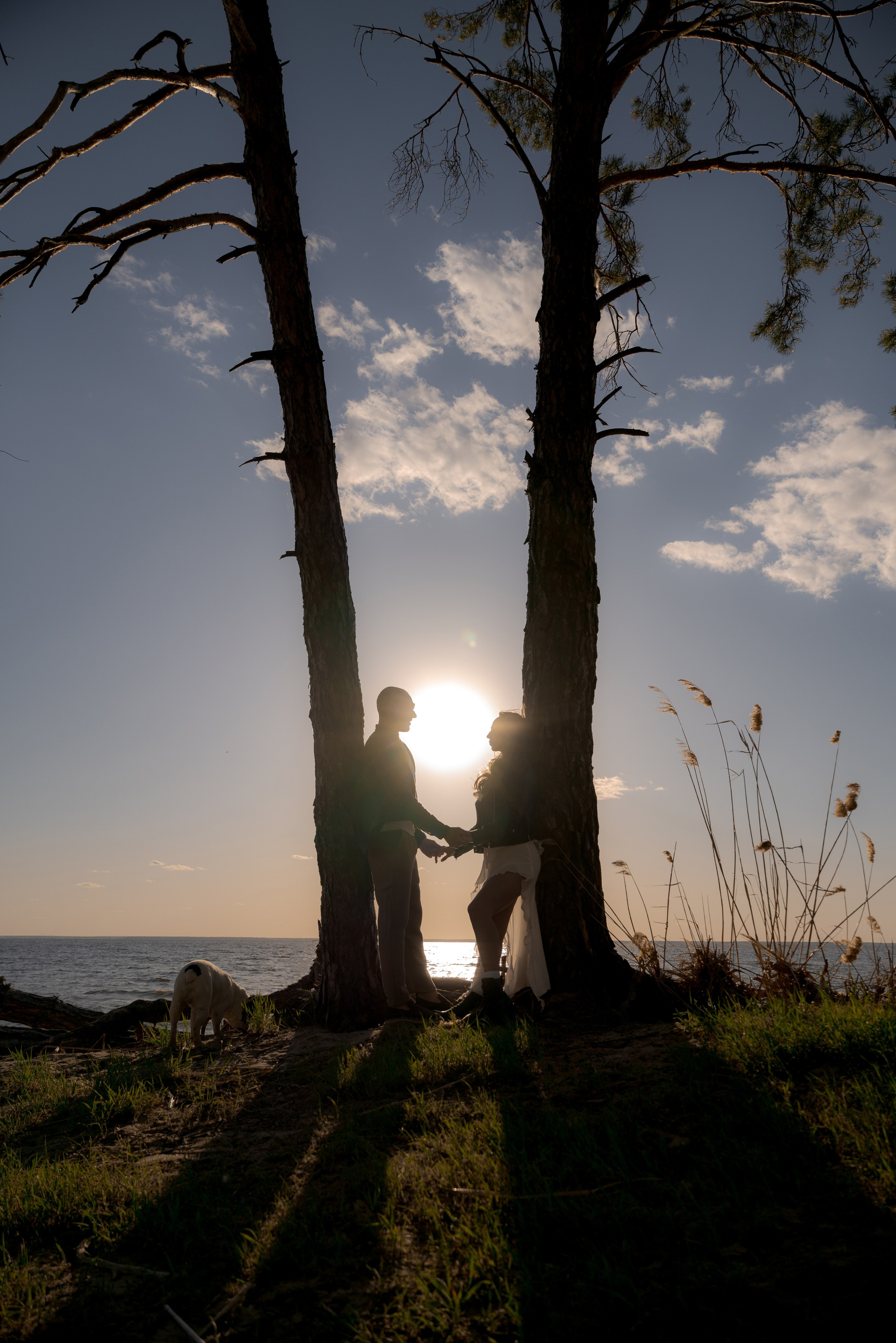 Весільний фотограф в Україні та Європі
