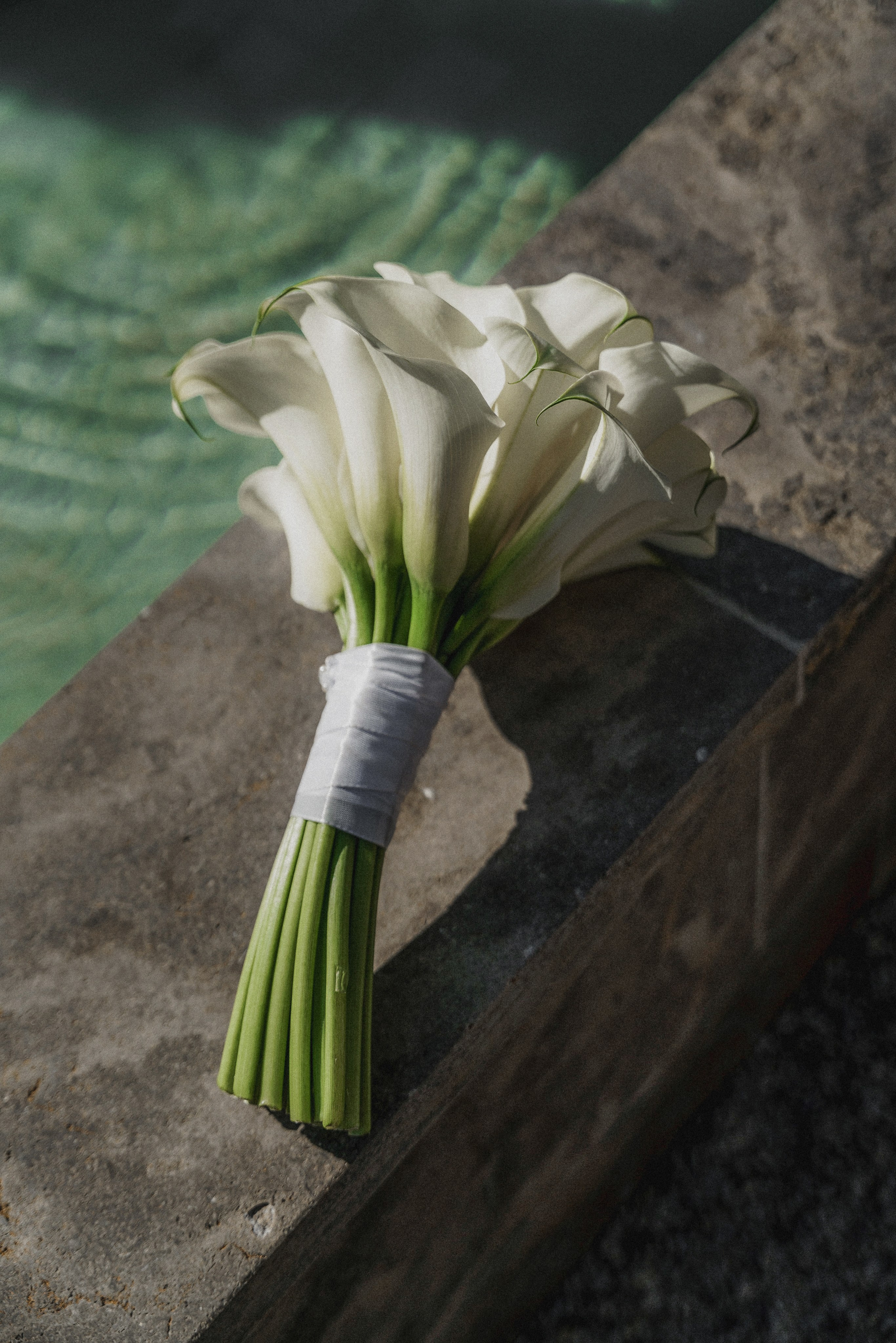 Jakob & Milena, Germany. Wedding photographer Tatyana Harmash in Ukraine and Europe