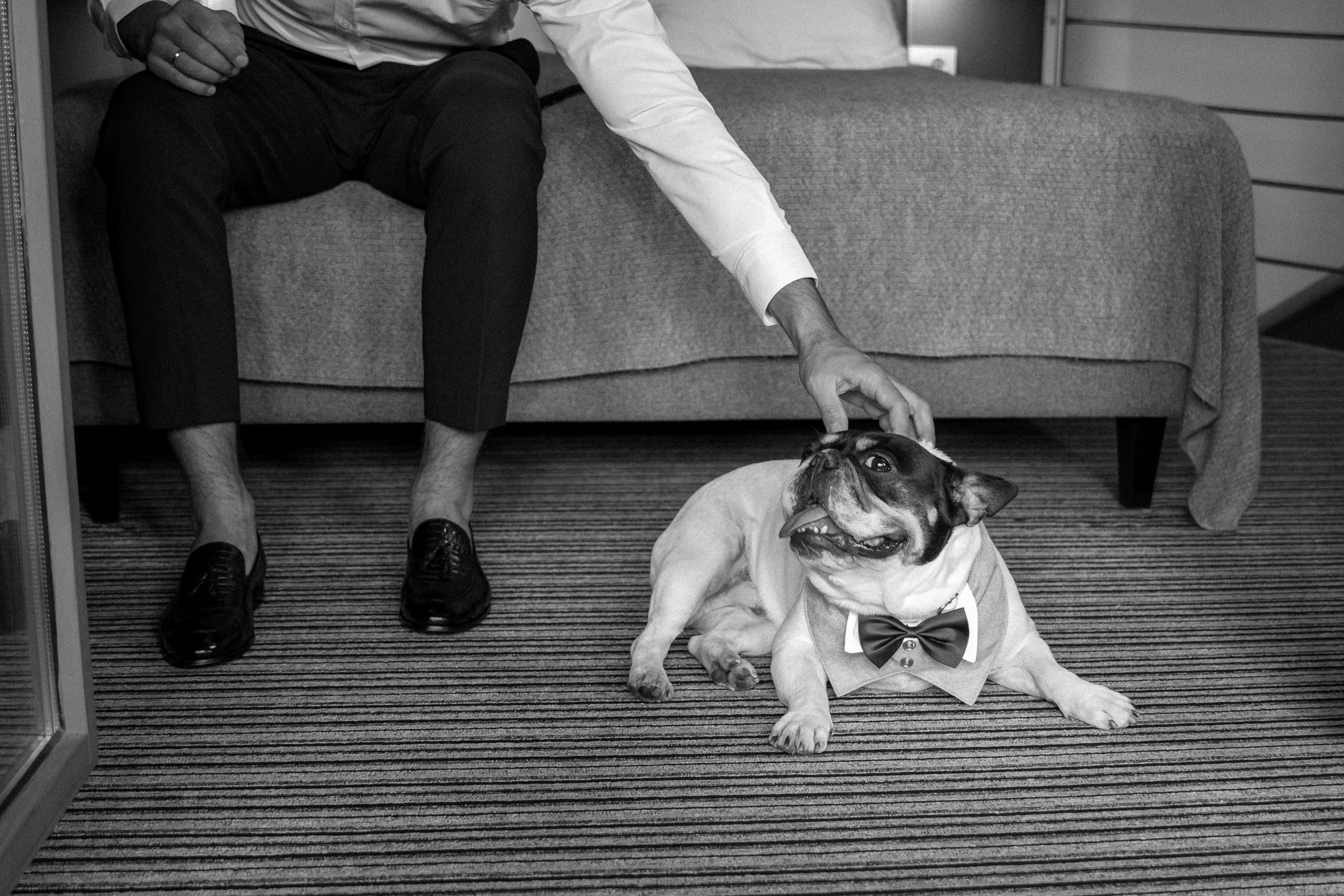 Весільний фотограф в Україні та Європі