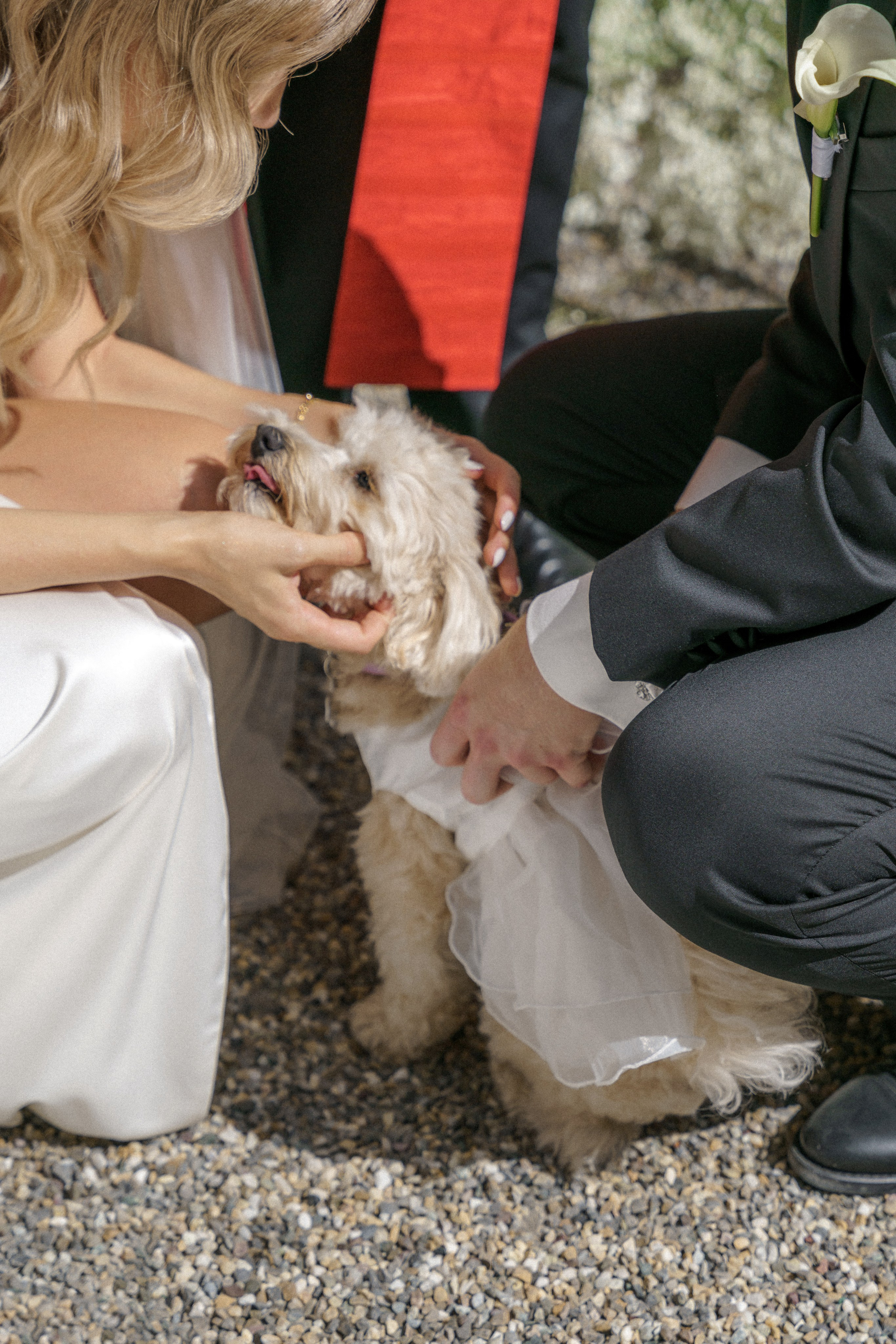 Jakob & Milena, Germany