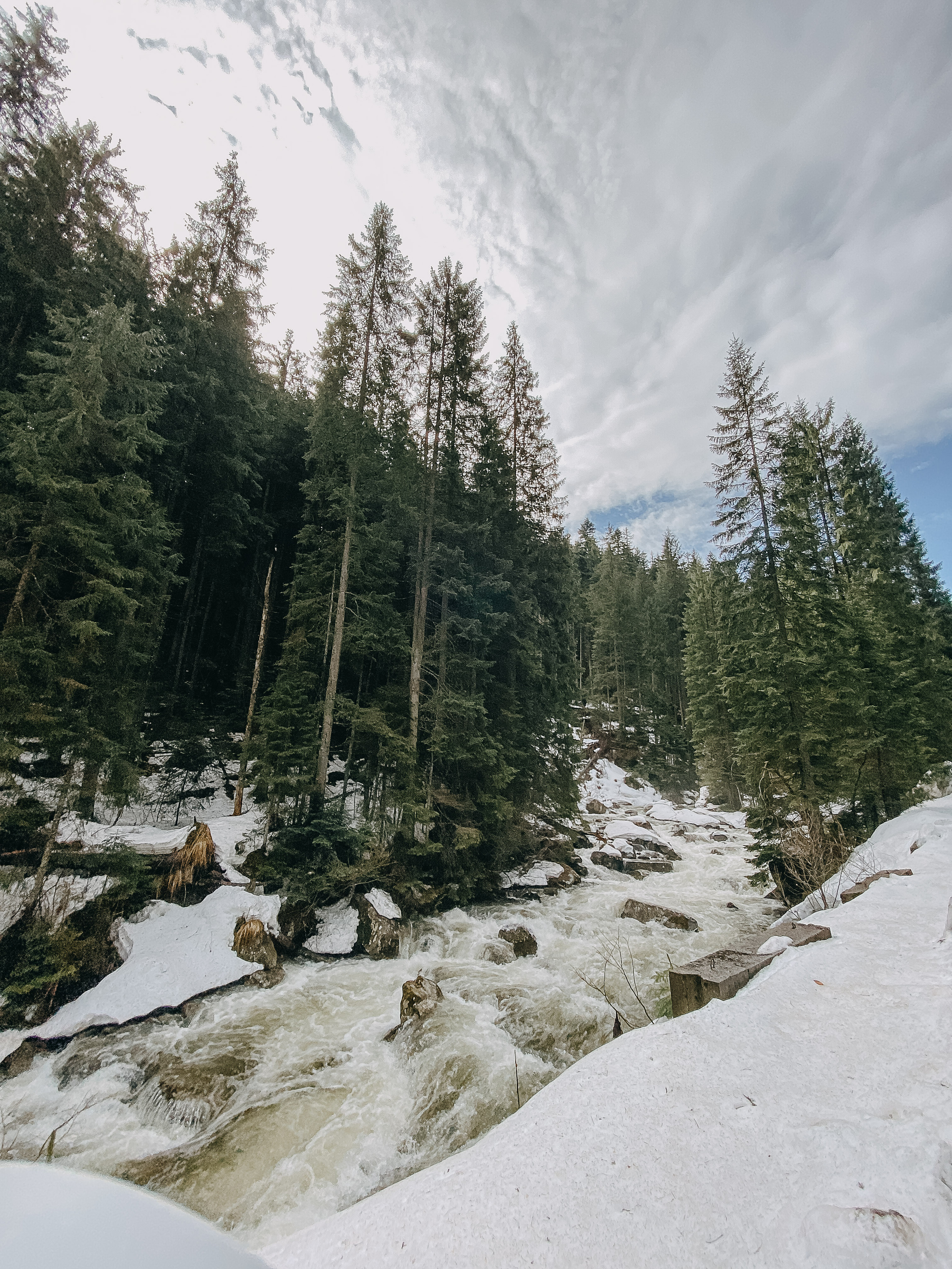 Karpaty wallpaper. NOVITSKIY.PHOTO Весільний і сімейний фотограф Новіцький Роман