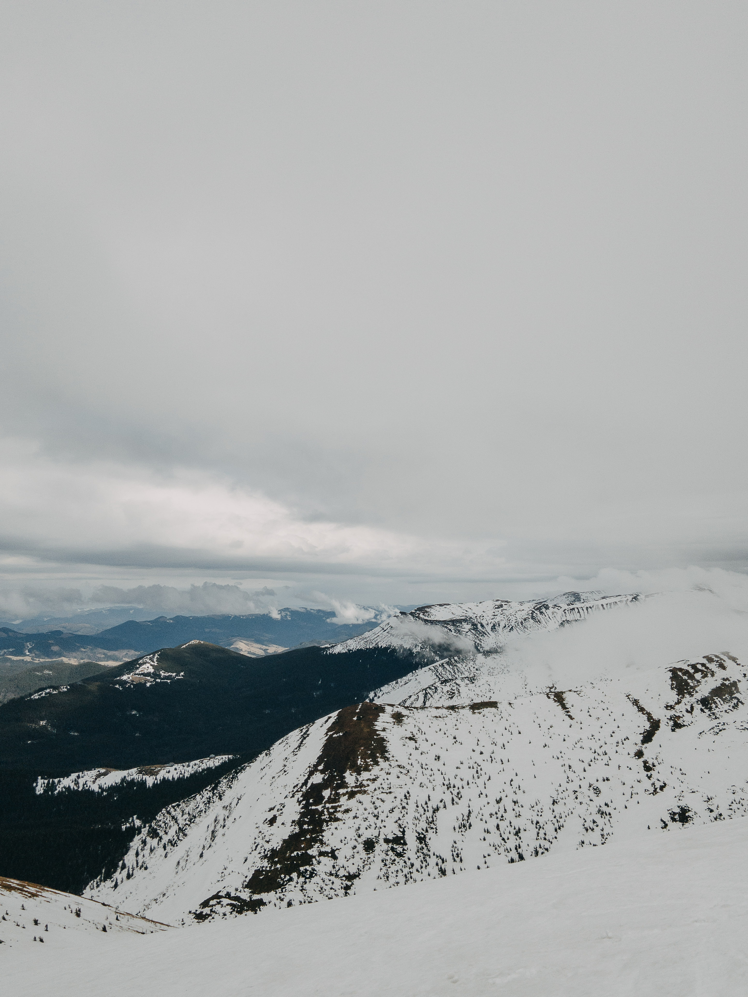 Karpaty wallpaper. NOVITSKIY.PHOTO Весільний і сімейний фотограф Новіцький Роман