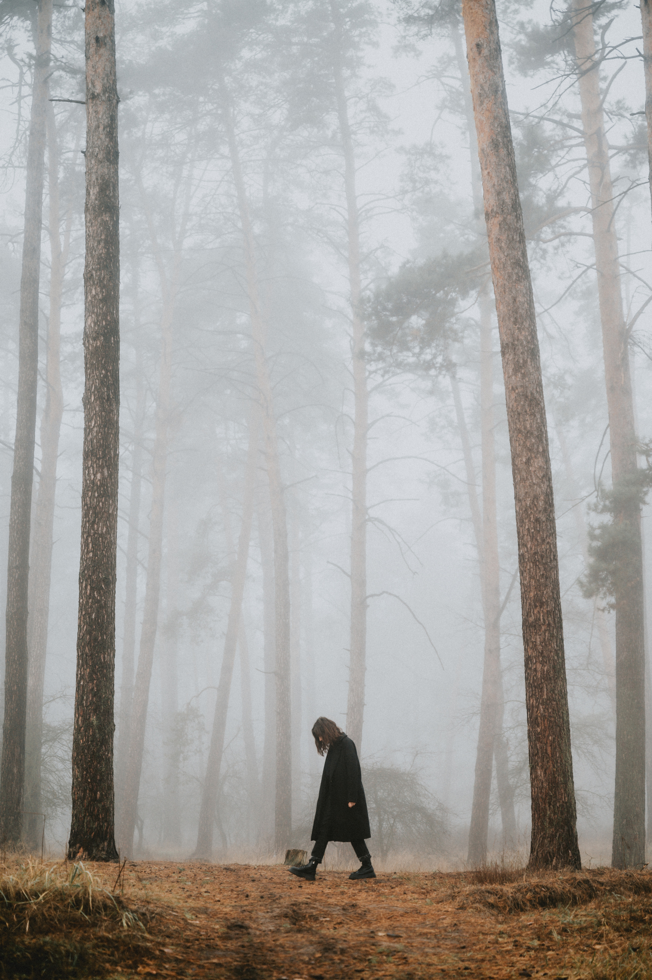 Какая зима - такие и фотки. NOVITSKIY.PHOTO Весільний і сімейний фотограф Новіцький Роман