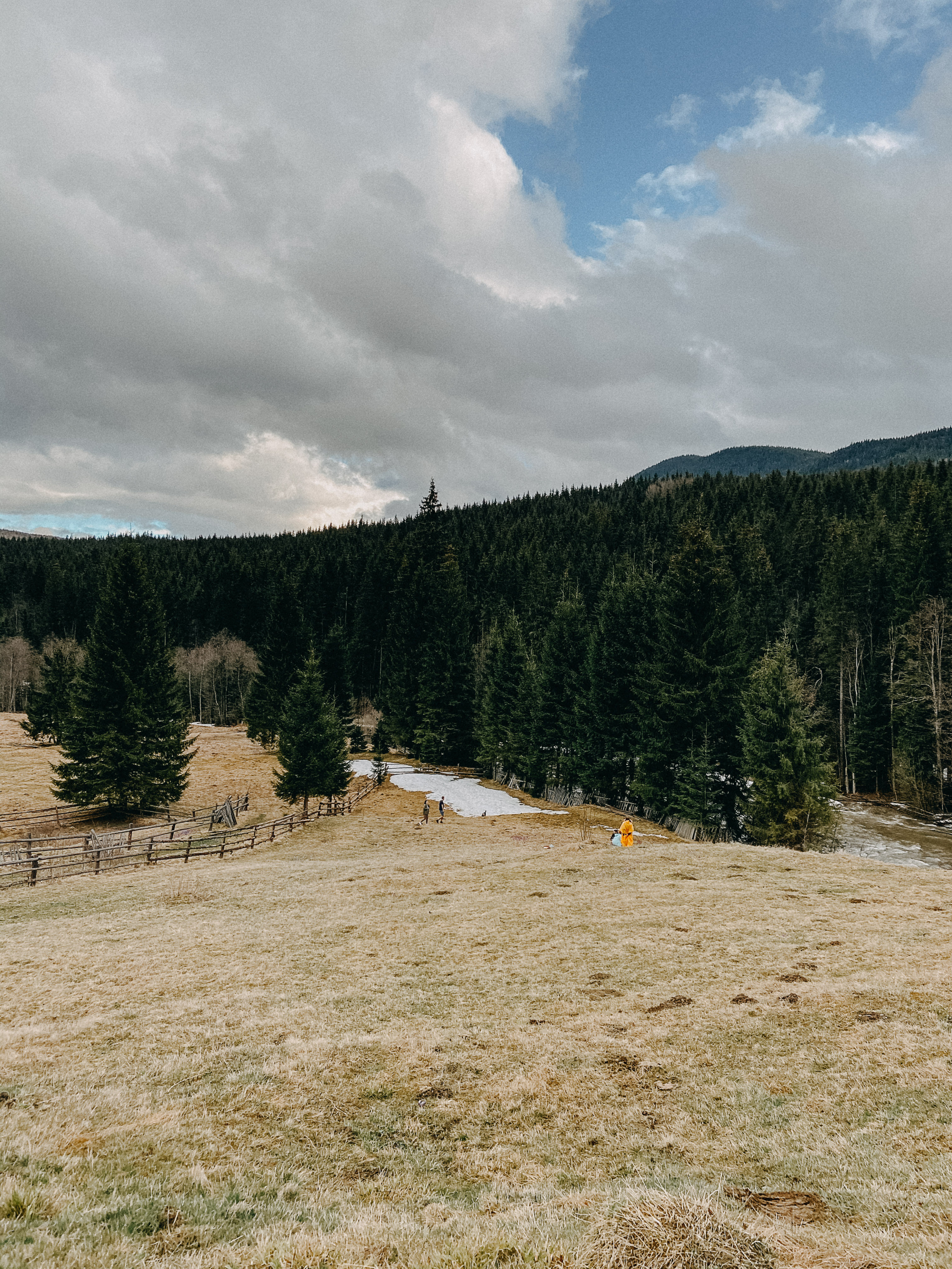 Karpaty wallpaper. NOVITSKIY.PHOTO Весільний і сімейний фотограф Новіцький Роман