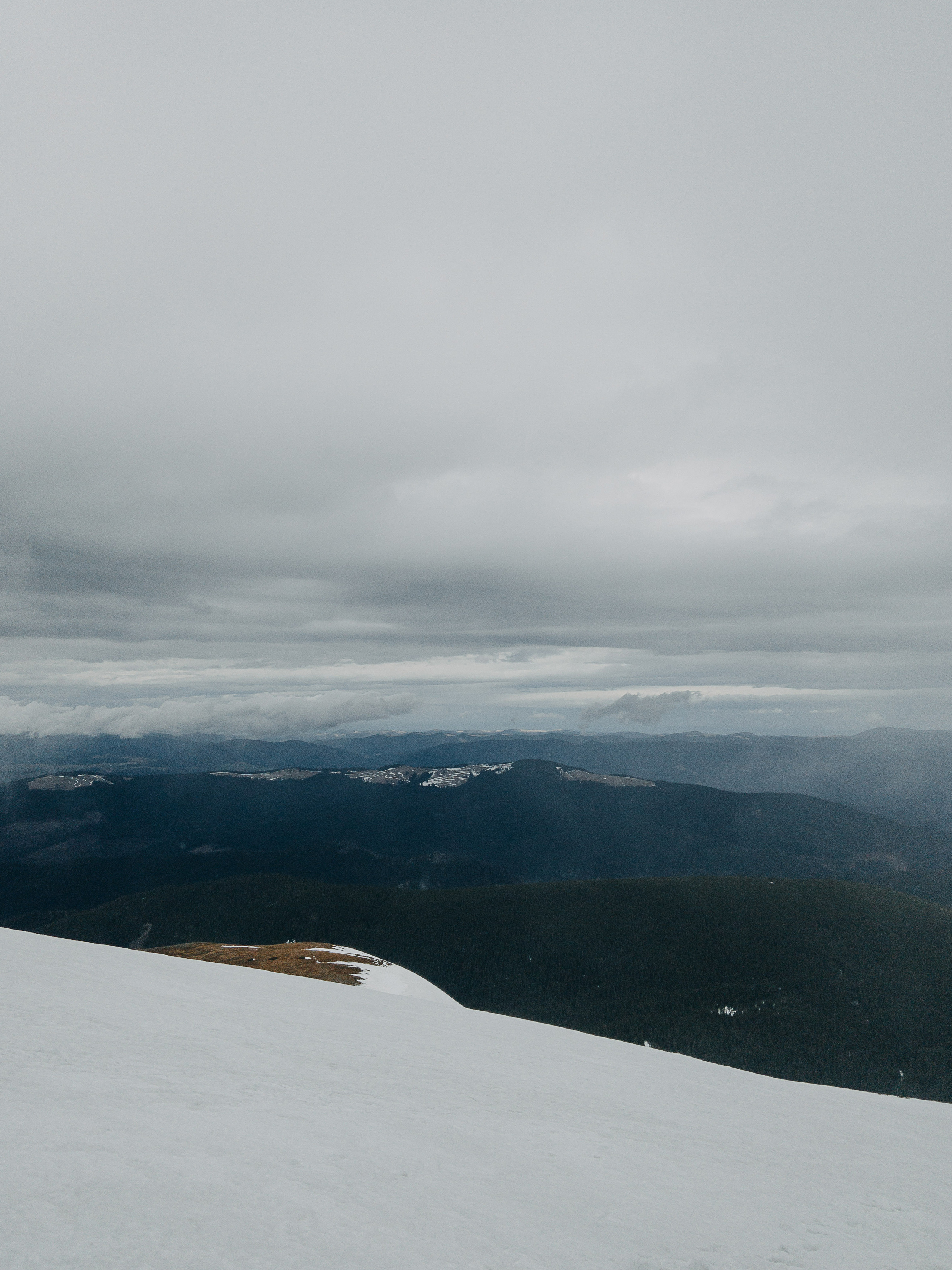 Karpaty wallpaper. NOVITSKIY.PHOTO Весільний і сімейний фотограф Новіцький Роман