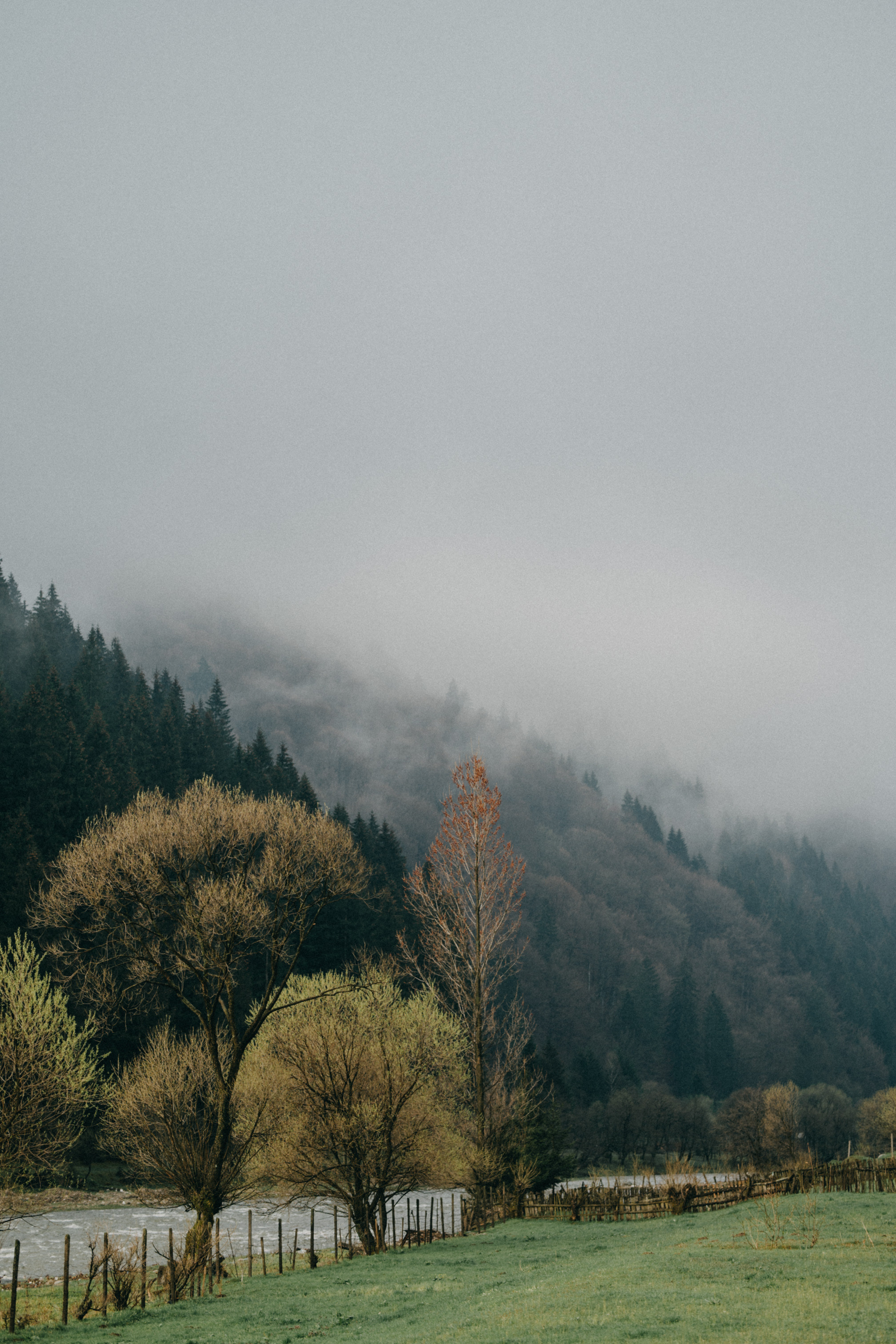 Karpaty wallpaper. NOVITSKIY.PHOTO Весільний і сімейний фотограф Новіцький Роман