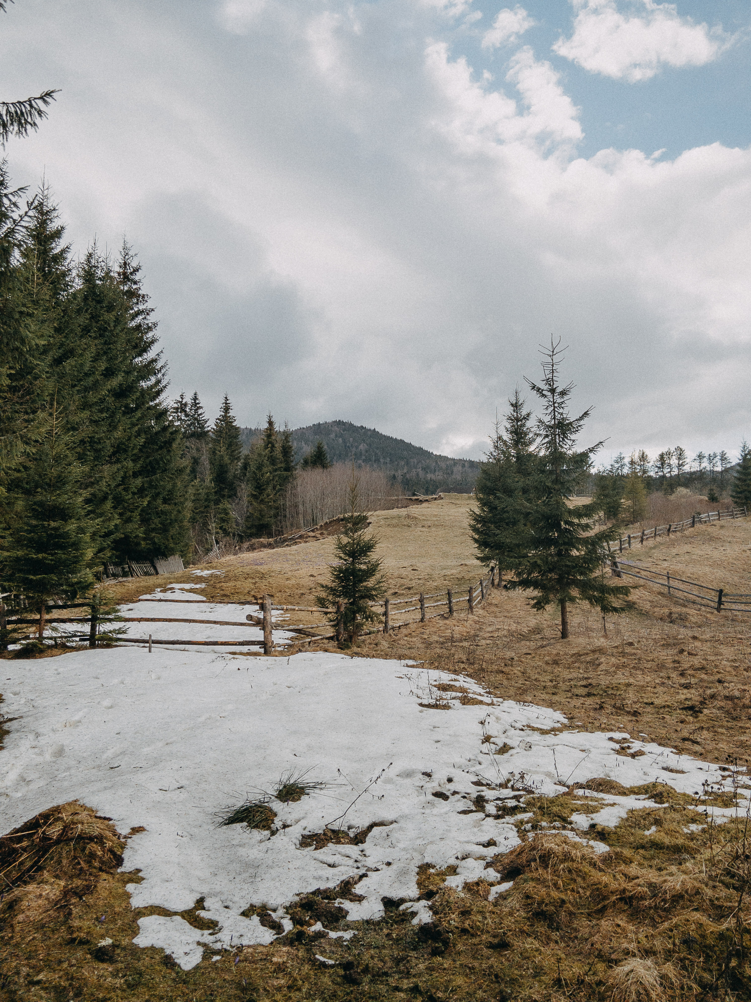 Karpaty wallpaper. NOVITSKIY.PHOTO Весільний і сімейний фотограф Новіцький Роман