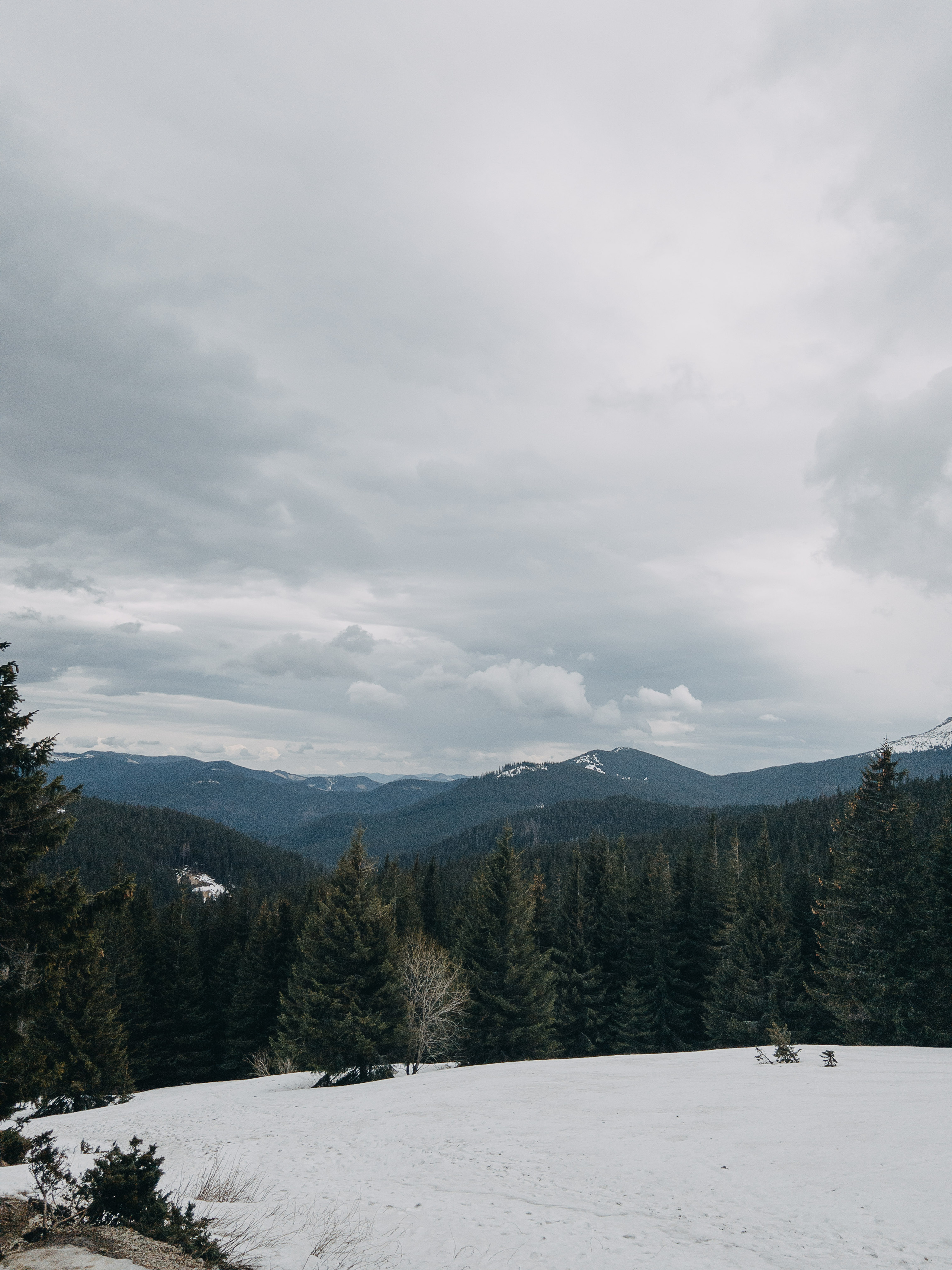 Karpaty wallpaper. NOVITSKIY.PHOTO Весільний і сімейний фотограф Новіцький Роман