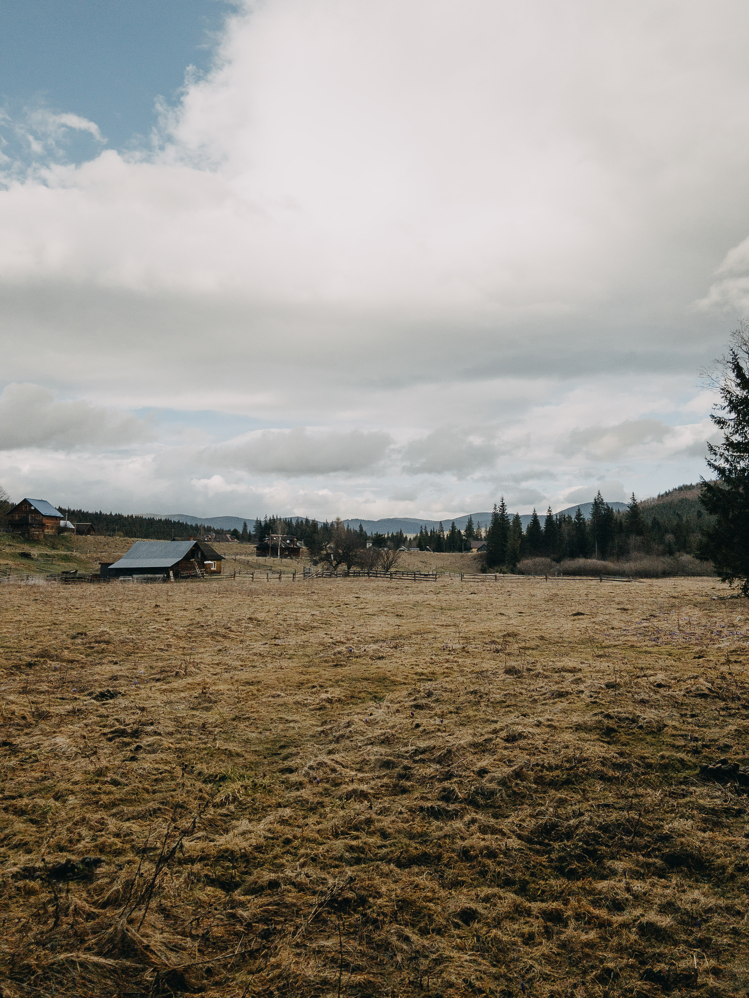 Karpaty wallpaper. NOVITSKIY.PHOTO Весільний і сімейний фотограф Новіцький Роман