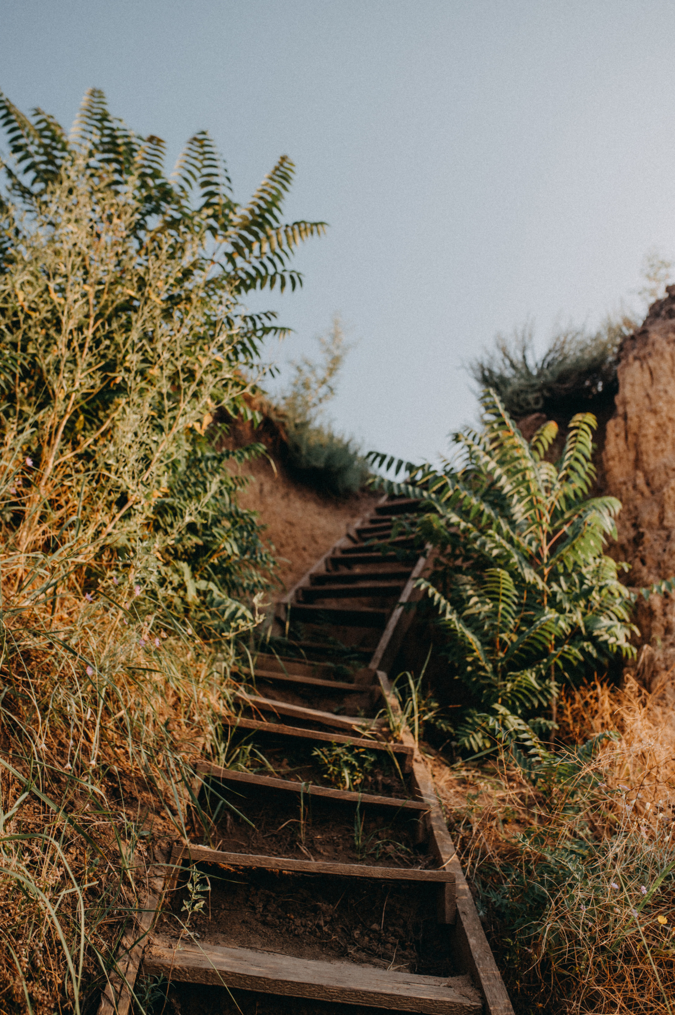 LoveStory в Санджейке. NOVITSKIY.PHOTO Весільний і сімейний фотограф Новіцький Роман