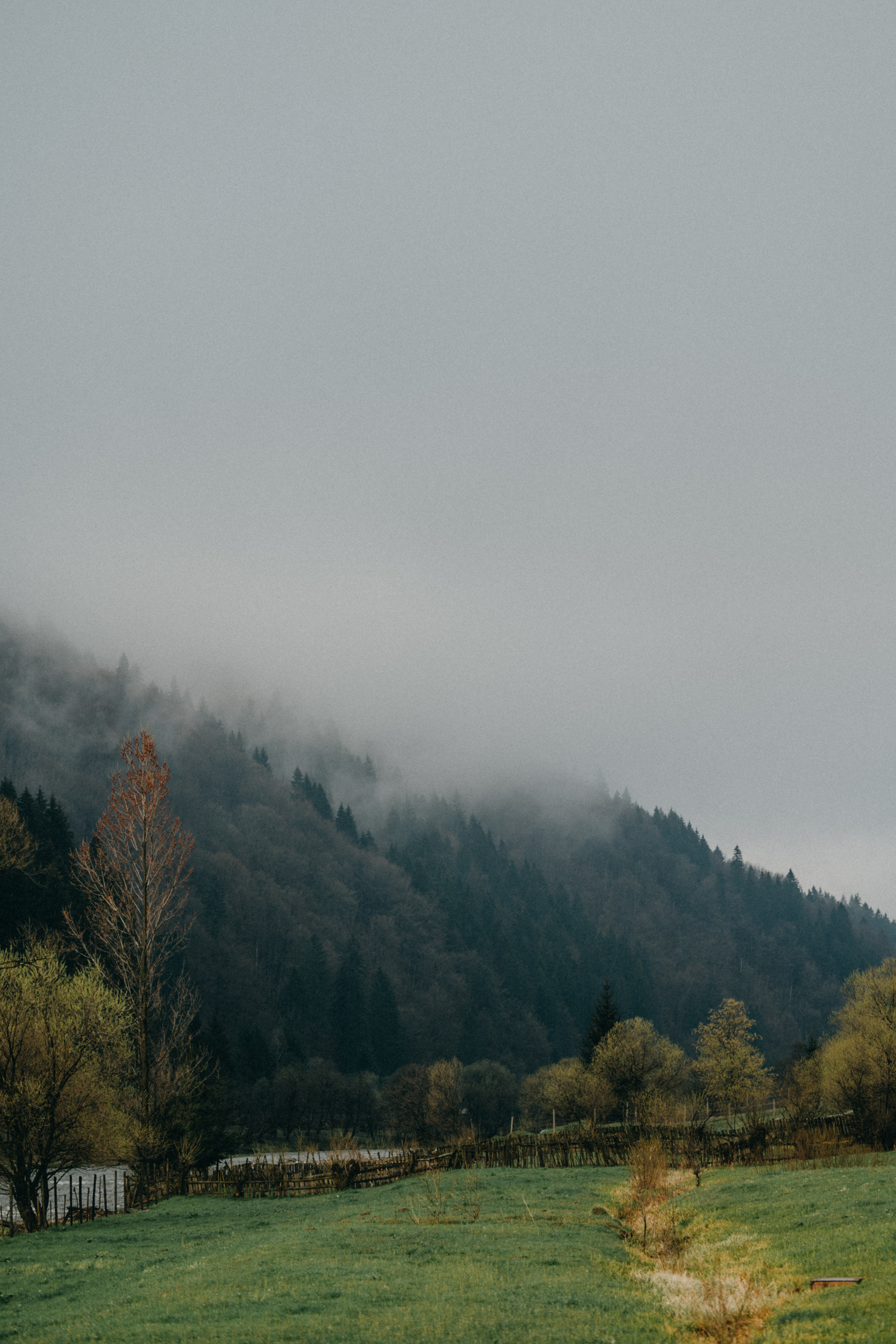 Karpaty wallpaper. NOVITSKIY.PHOTO Весільний і сімейний фотограф Новіцький Роман