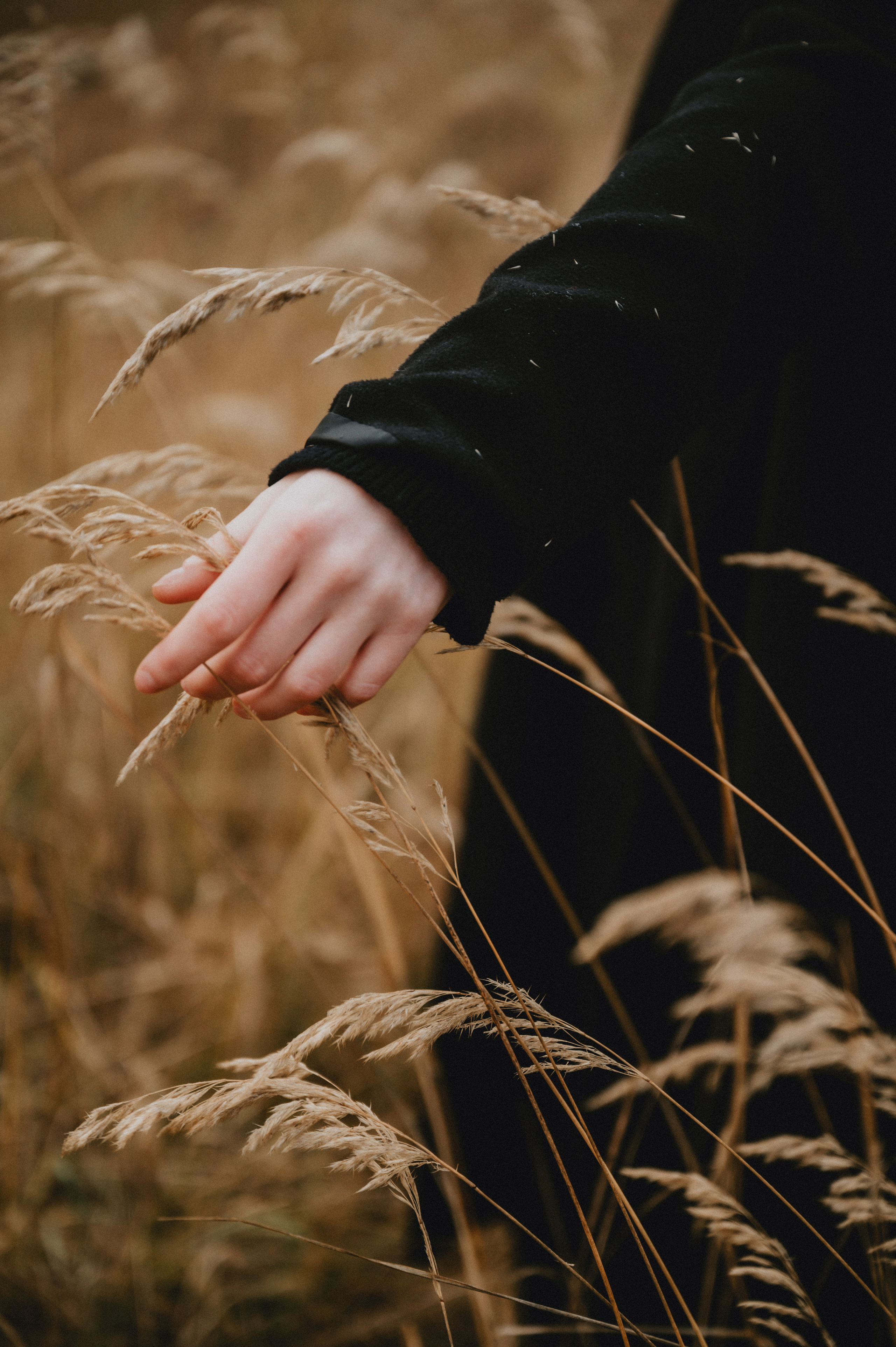 Какая зима - такие и фотки. NOVITSKIY.PHOTO Весільний і сімейний фотограф Новіцький Роман