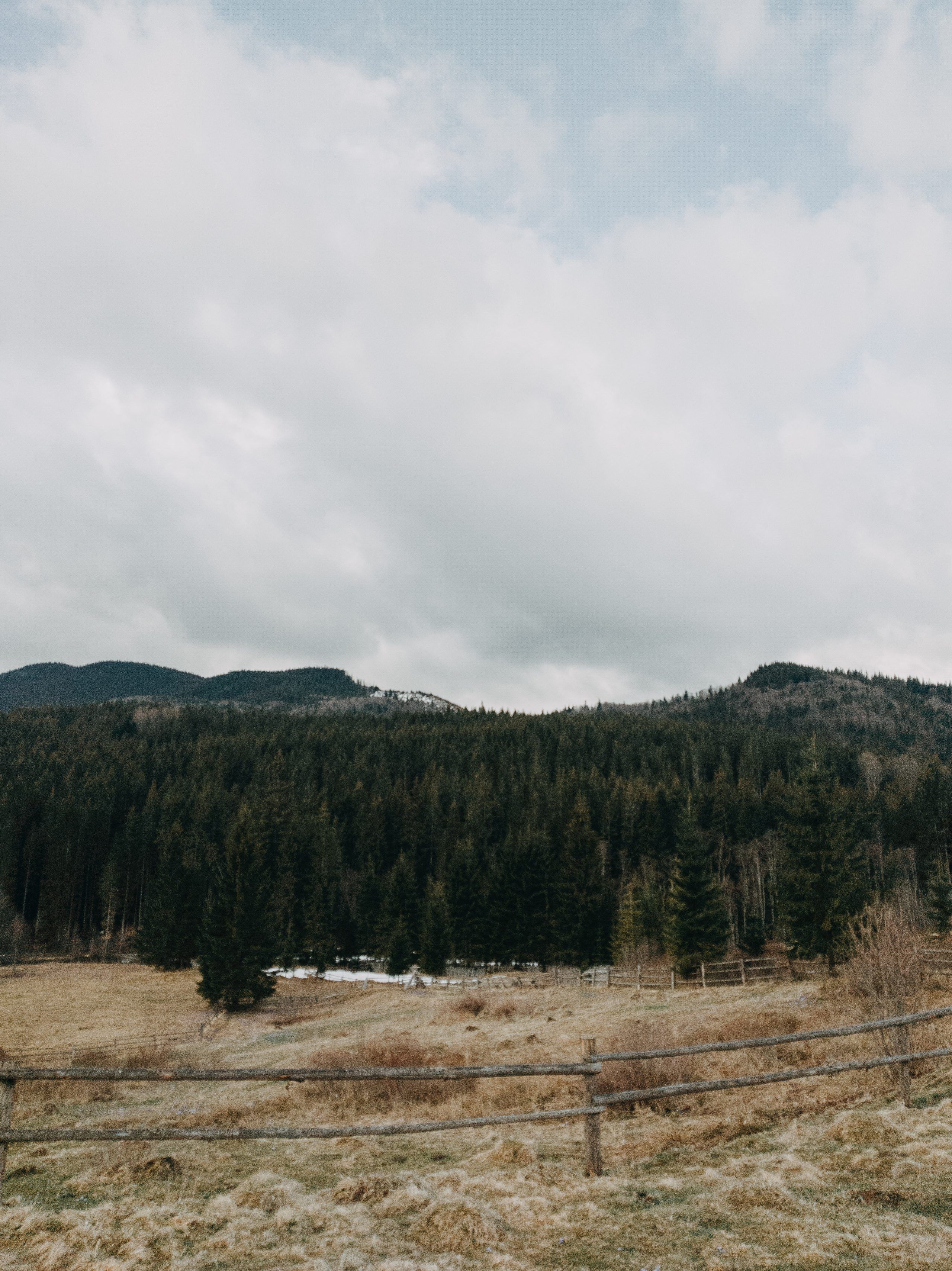 Karpaty wallpaper. NOVITSKIY.PHOTO Весільний і сімейний фотограф Новіцький Роман