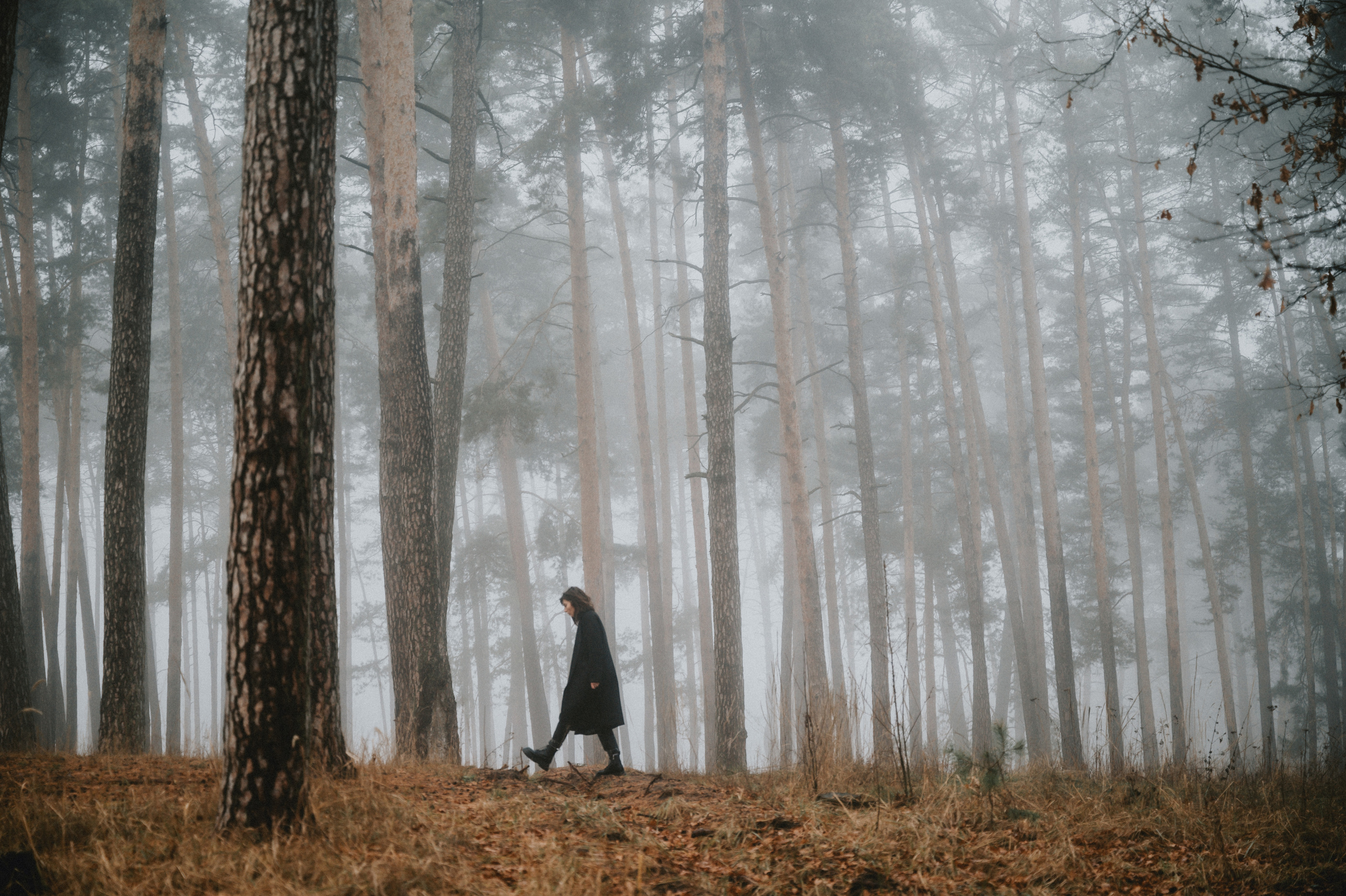 Какая зима - такие и фотки. NOVITSKIY.PHOTO Весільний і сімейний фотограф Новіцький Роман