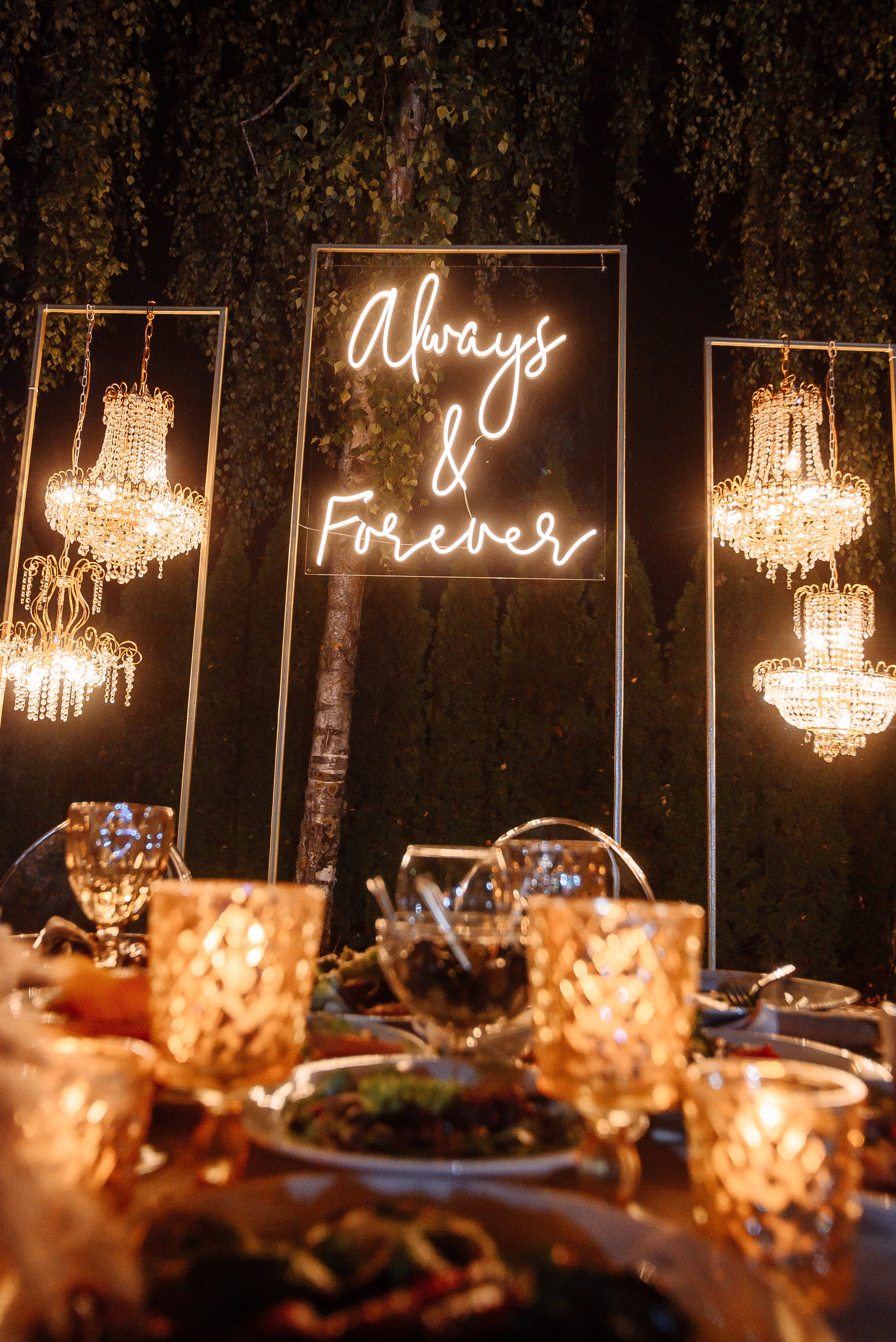 Огляд на повне весілля Вячеслав і Поліна. Soel studio. Фотограф Дніпро