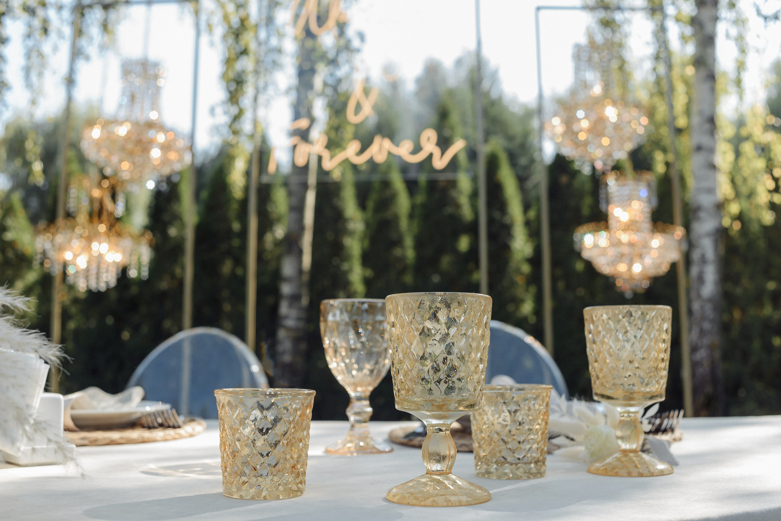 Огляд на повне весілля Вячеслав і Поліна. Soel studio. Фотограф Дніпро