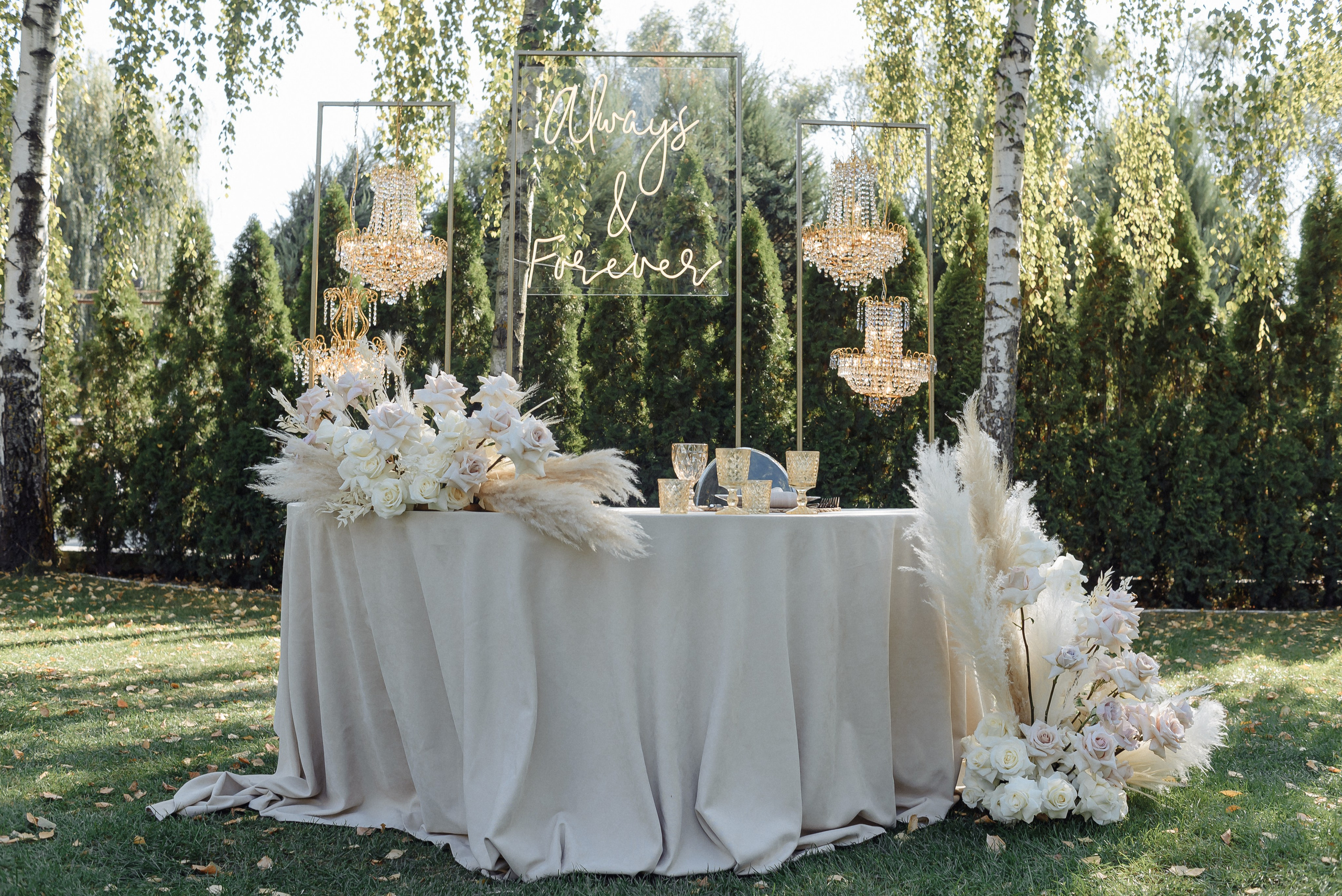 Огляд на повне весілля Вячеслав і Поліна. Soel studio. Фотограф Дніпро