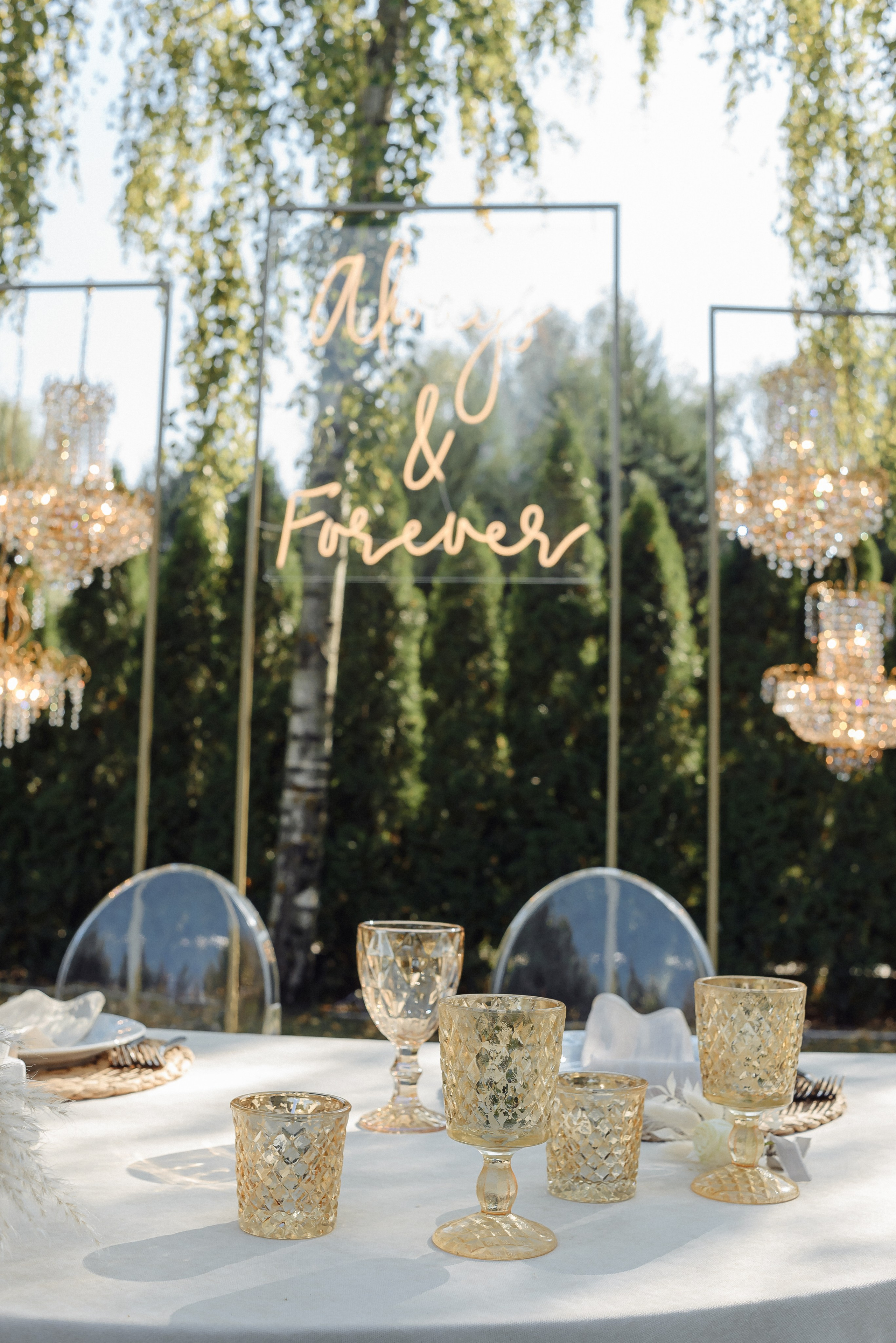 Огляд на повне весілля Вячеслав і Поліна. Soel studio. Фотограф Дніпро