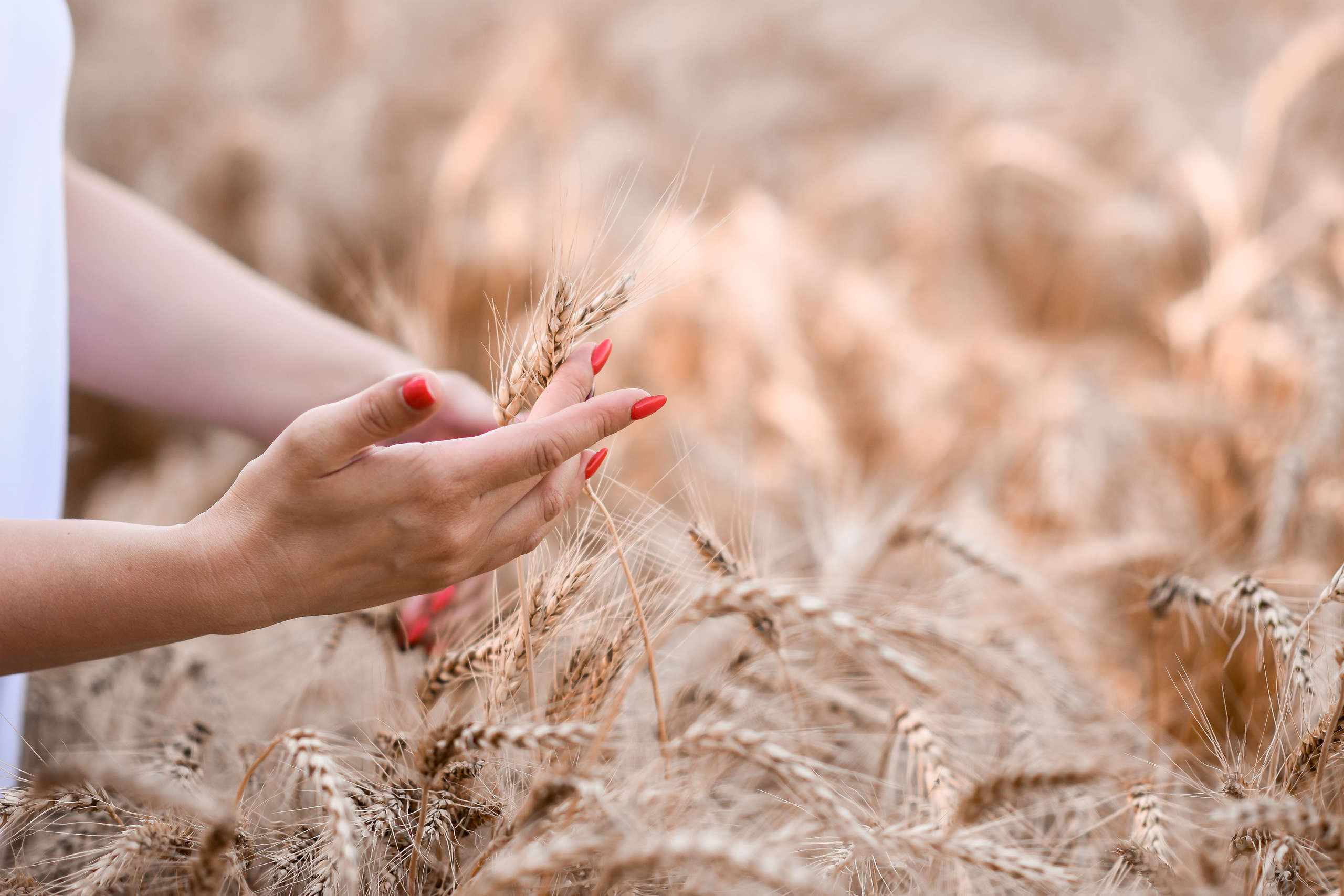 Летняя фотосессия прекрасной семьи. Детский и семейный фотограф Алёна Васильева