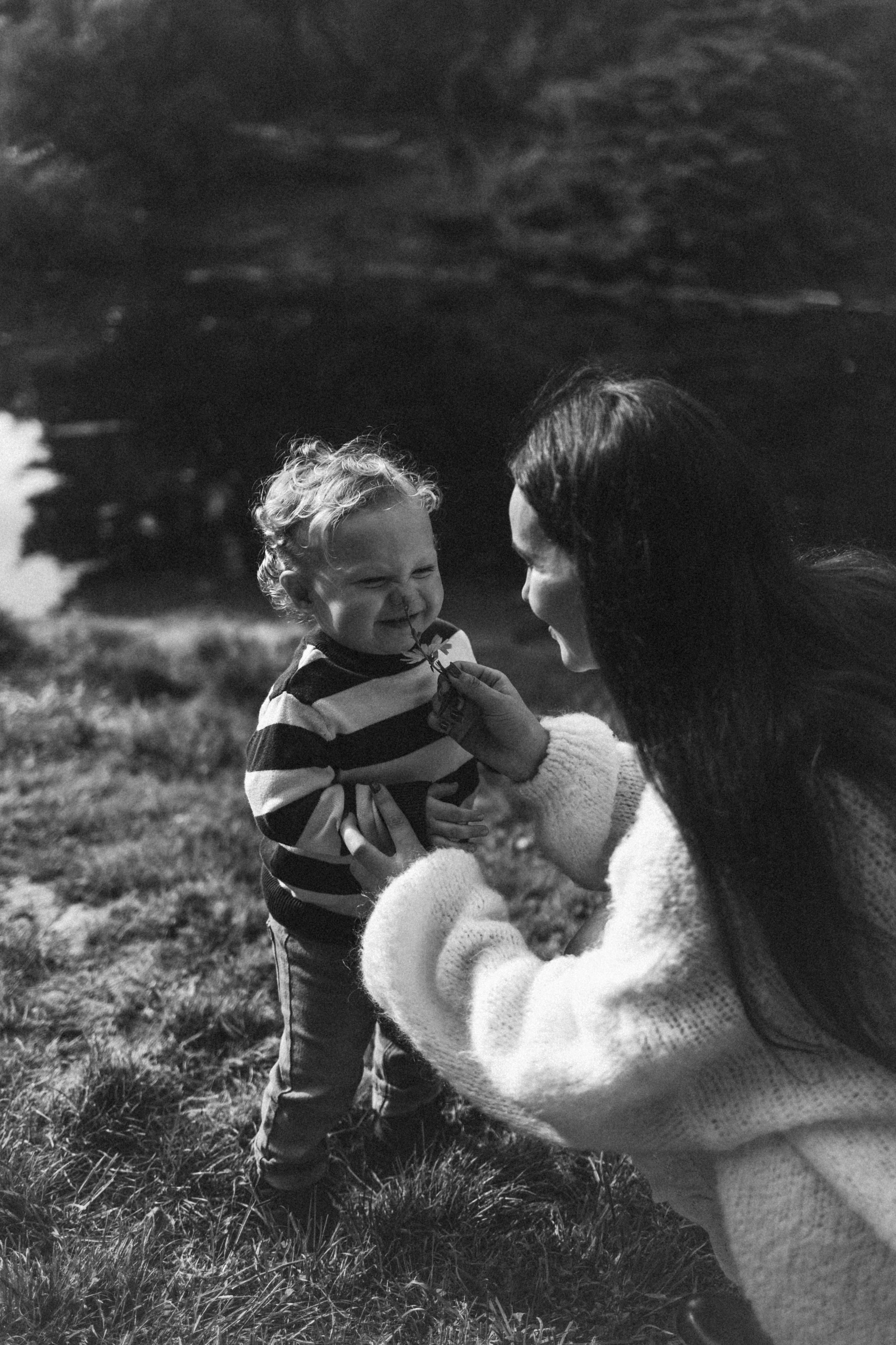 Семейная фотосессия на природе. Фотограф Познань