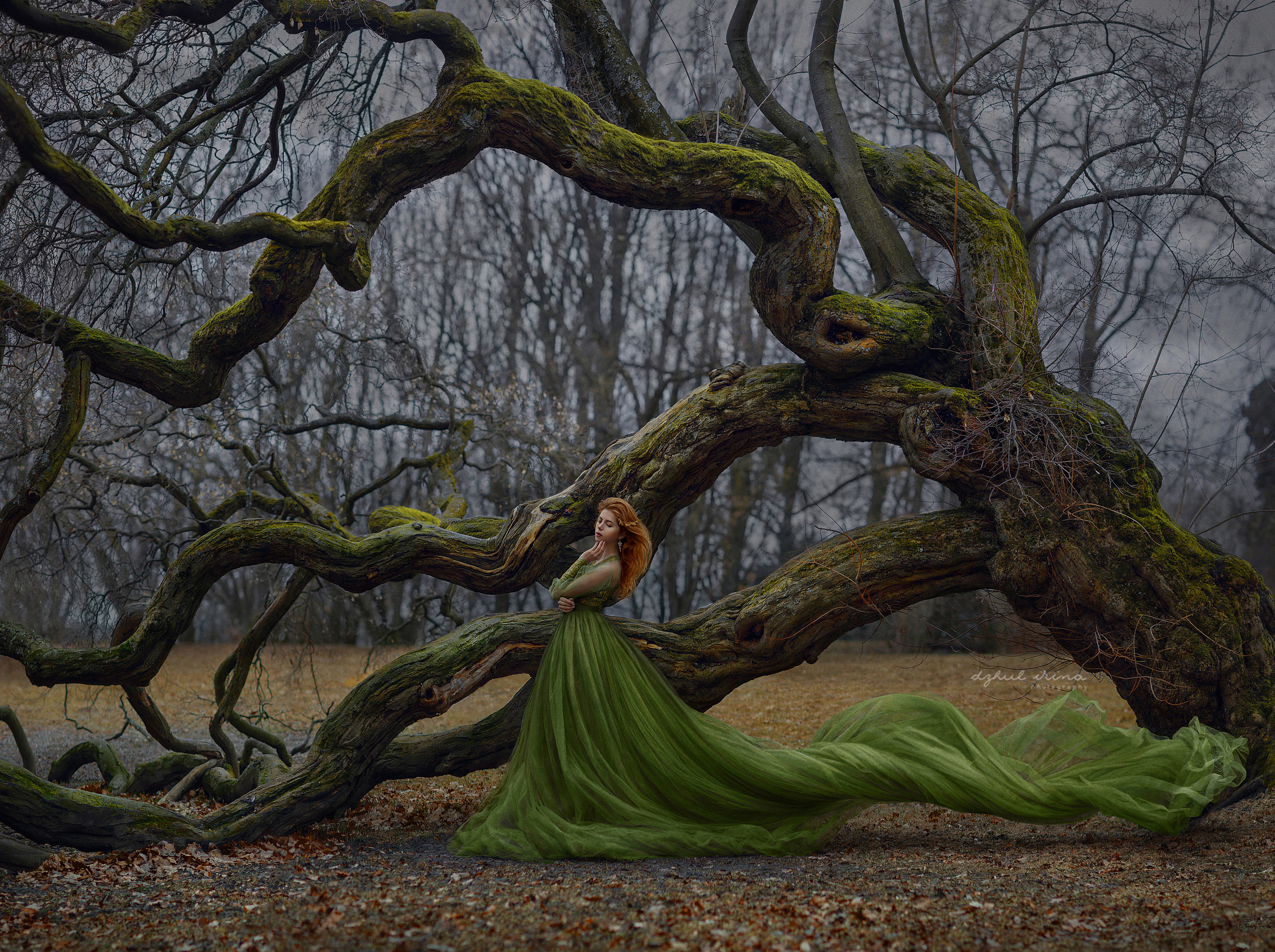 PRINT GALLERY. Art photographer in Amsterdam, the Netherlands Irina Dzhul