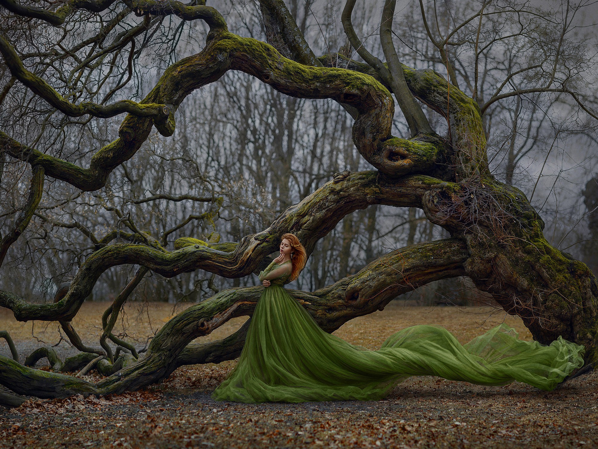 HOARY TREE. Art photographer in Amsterdam, the Netherlands Irina Dzhul