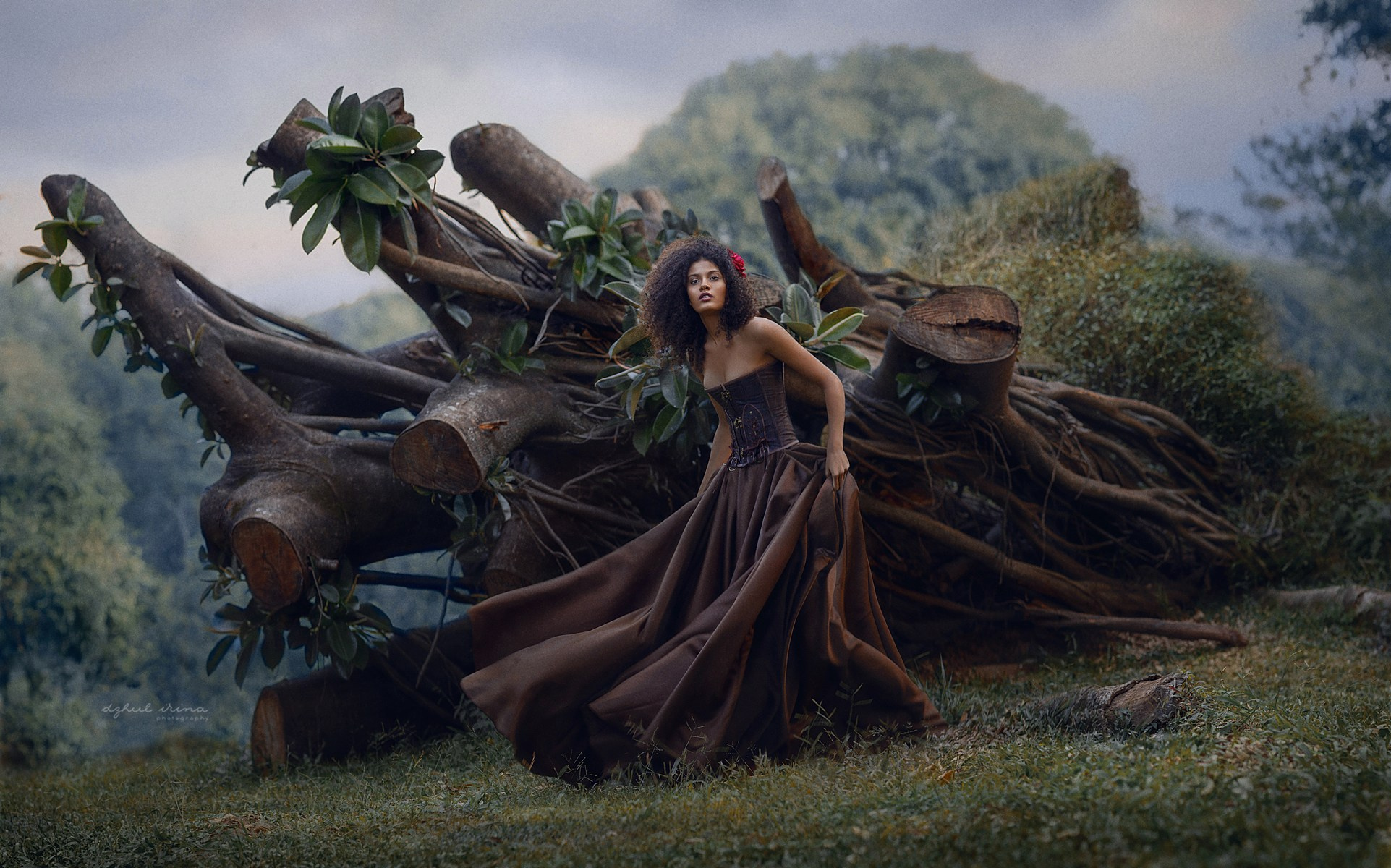 TREE DEATH. Art photographer in Amsterdam, the Netherlands Irina Dzhul