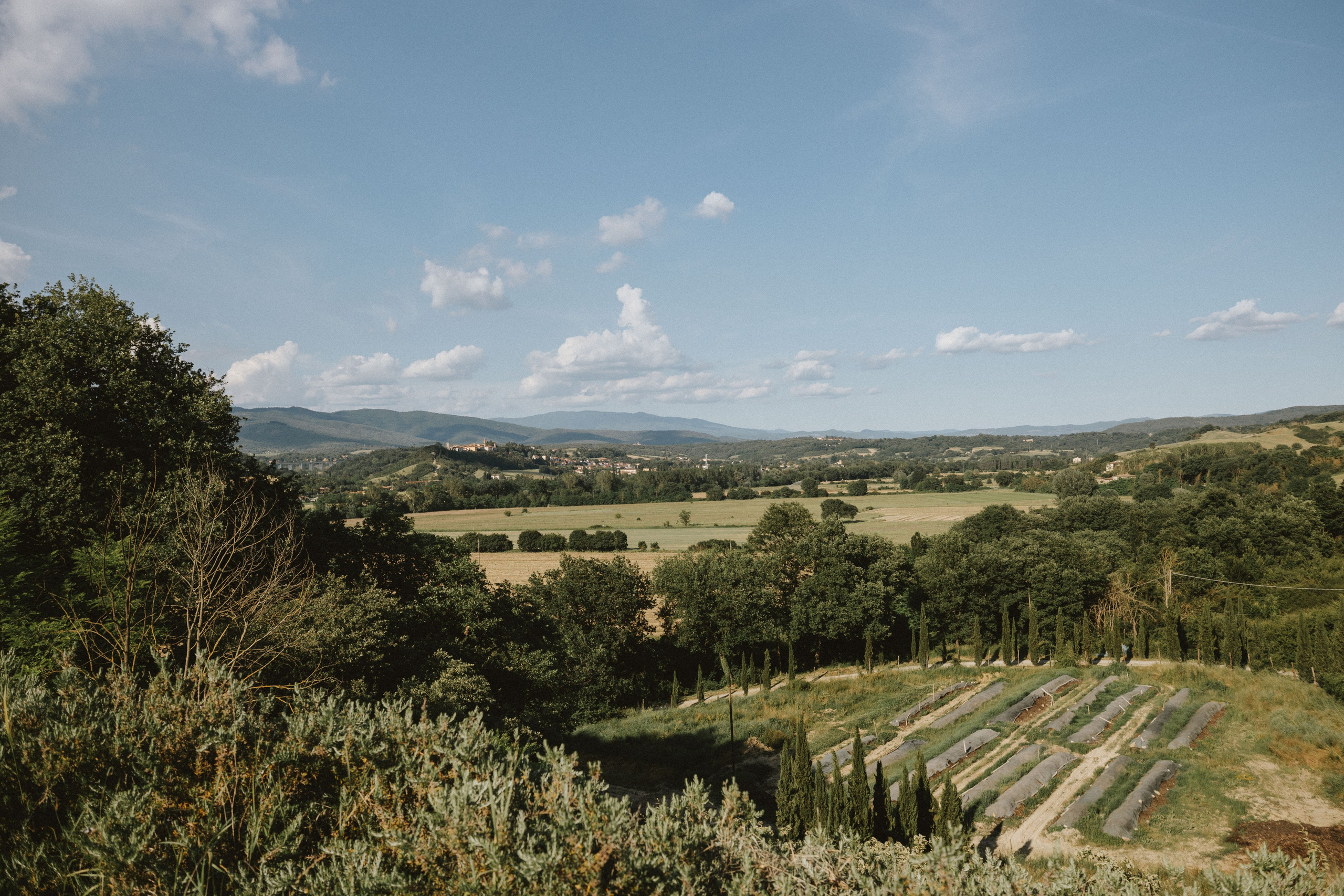 Sebastian & Isa – Matrimonio Romantico in Toscana | Celebrazione Intima tra le Colline. Fotografo di matrimoni a Firenze, Pisa e Toscana | Fotografia spontanea ed elegante in Italia