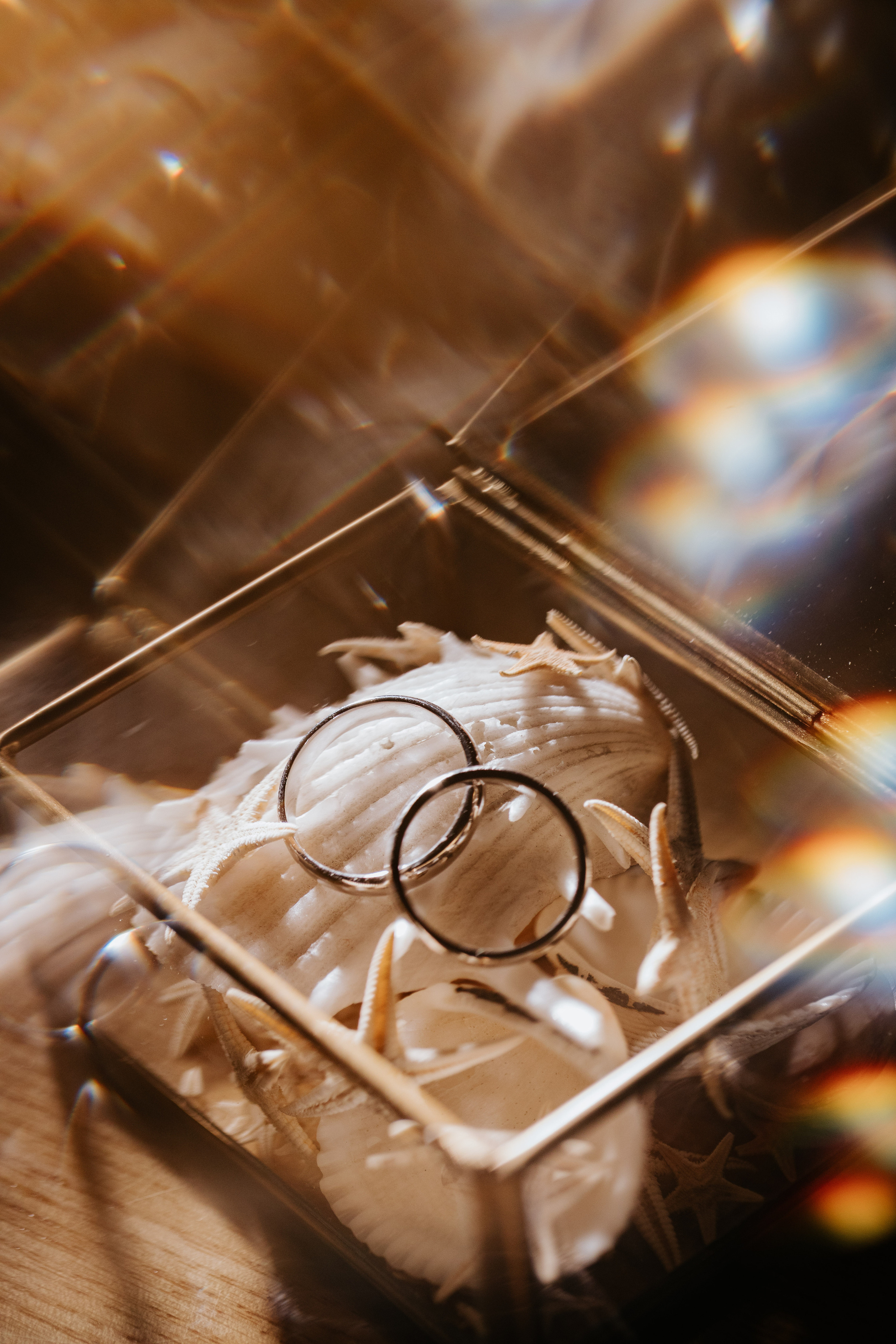 Alexey & Ksenia. Wedding Photographer in Florence, Pisa & Tuscany | Candid & Elegant Photography in Italy