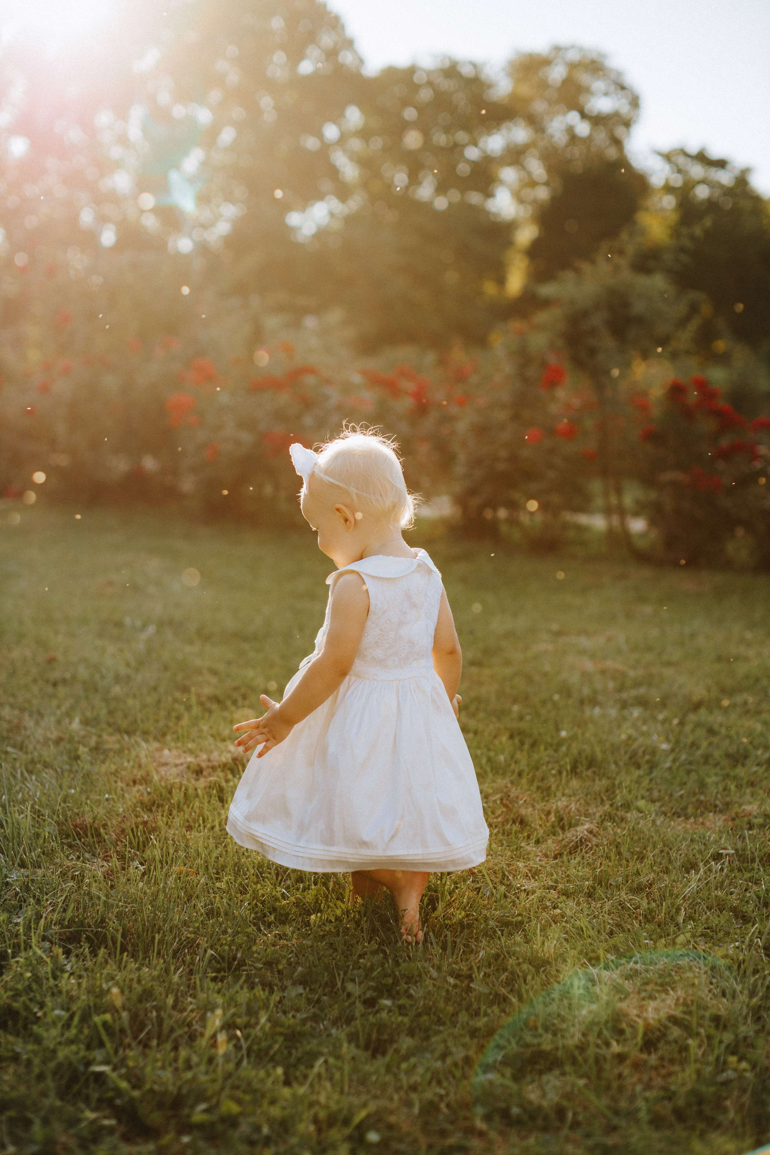“Una bambina con un vestito bianco e un grande fiocco in testa cammina a piedi nudi sull'erba, immersa nella luce calda del sole al tramonto. Le sue spalle sono rivolte all'obiettivo mentre esplora il giardino, circondato da fiori rossi sullo sfondo. Il tenue bagliore della luce del sole crea un'atmosfera sognante e serena, con qualche granello di polvere o polline che fluttua nell'aria, aggiungendo una sensazione magica al momento”.