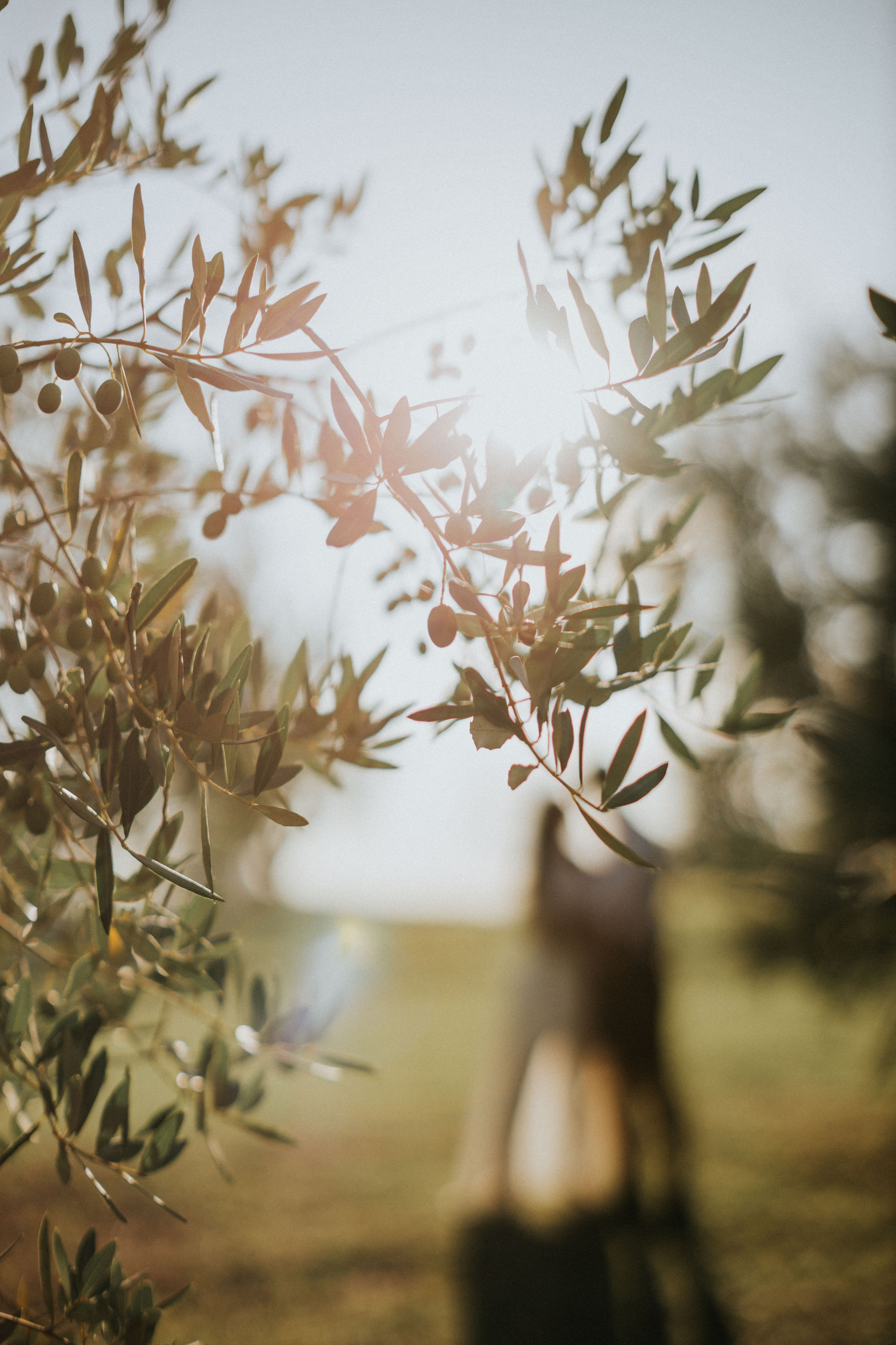 Family Photoshoot in Tuscany | Val d’Orcia & Pienza Photographer. Wedding Photographer in Florence, Pisa & Tuscany | Candid & Elegant Photography in Italy