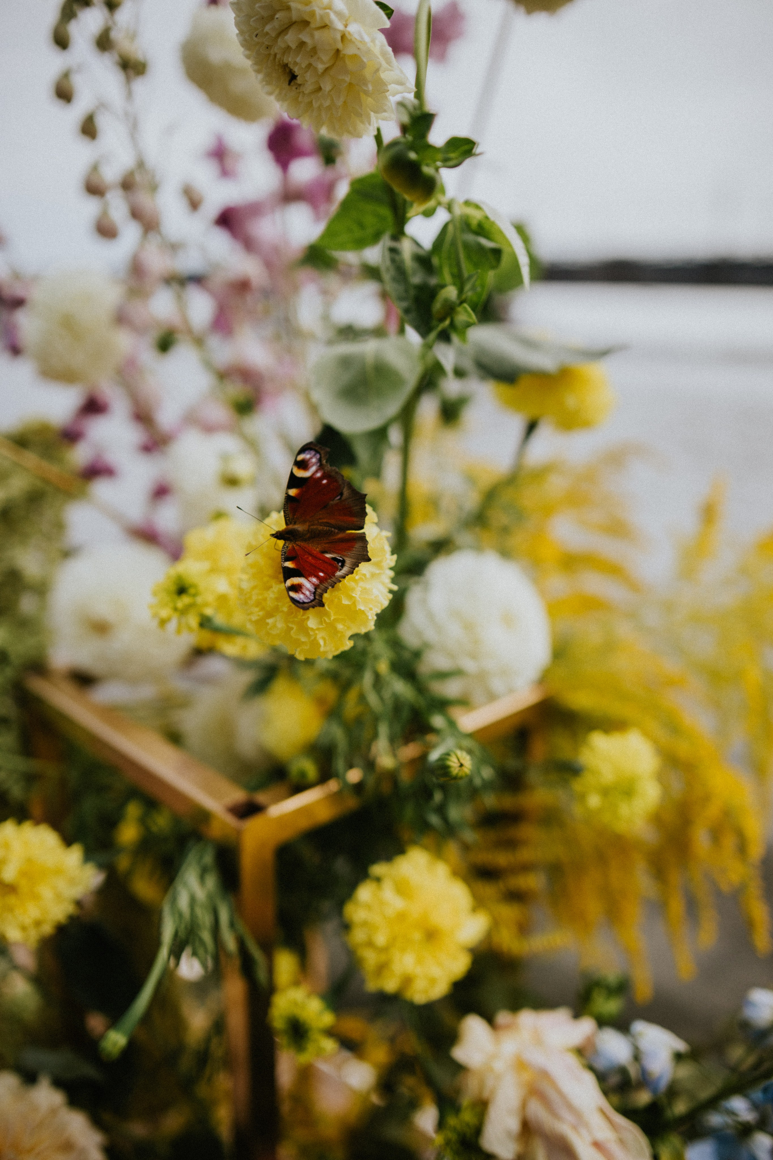Vitaliy & Vika — Emotional & Stylish Wedding | Wedding Photographer Portfolio. Wedding Photographer in Florence, Pisa & Tuscany | Candid & Elegant Photography in Italy
