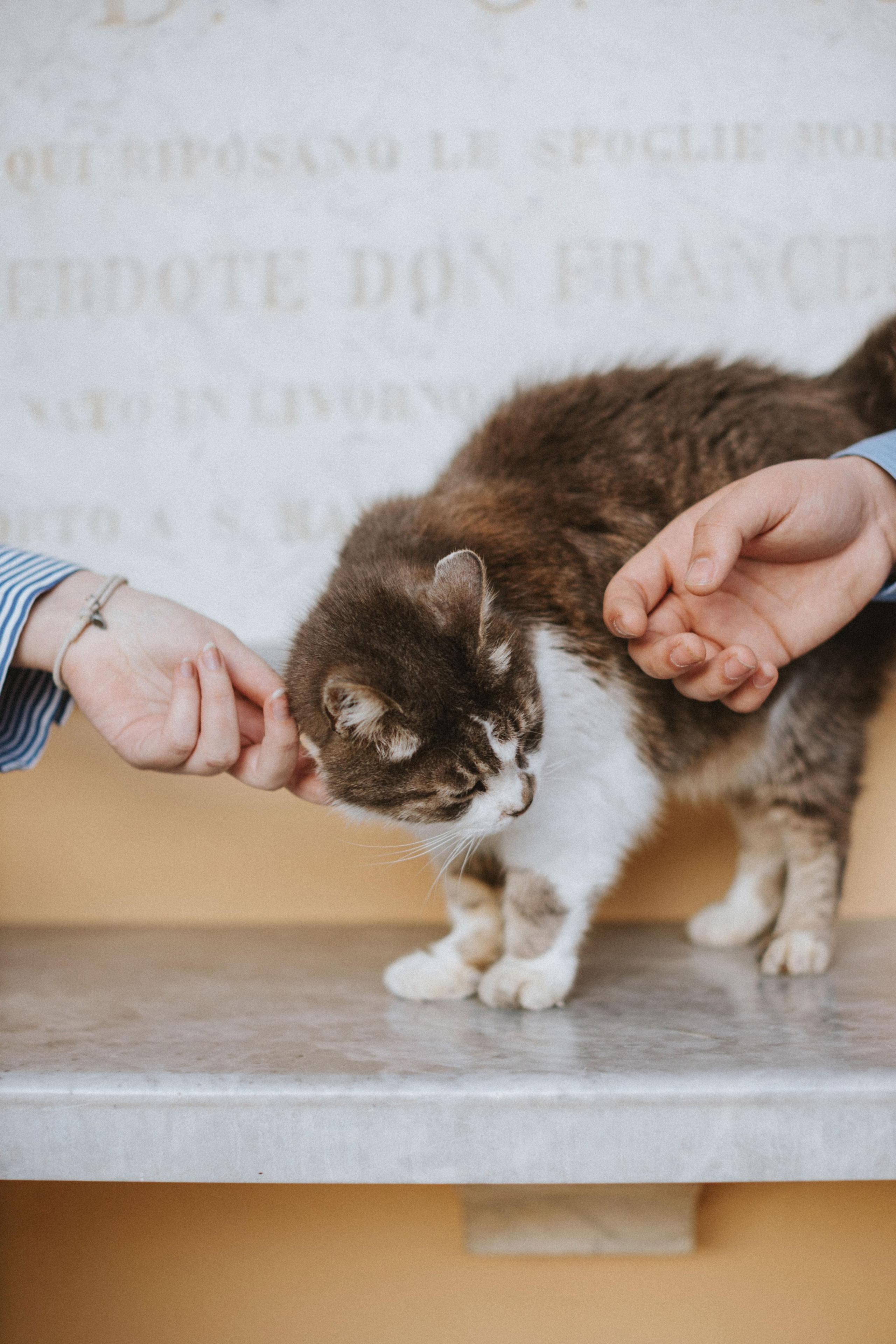 Matteo & Melissa - Servizio fotografico di coppia romantico | Portfolio del fotografo di matrimonio. Fotografo di matrimoni a Firenze, Pisa e Toscana | Fotografia spontanea ed elegante in Italia