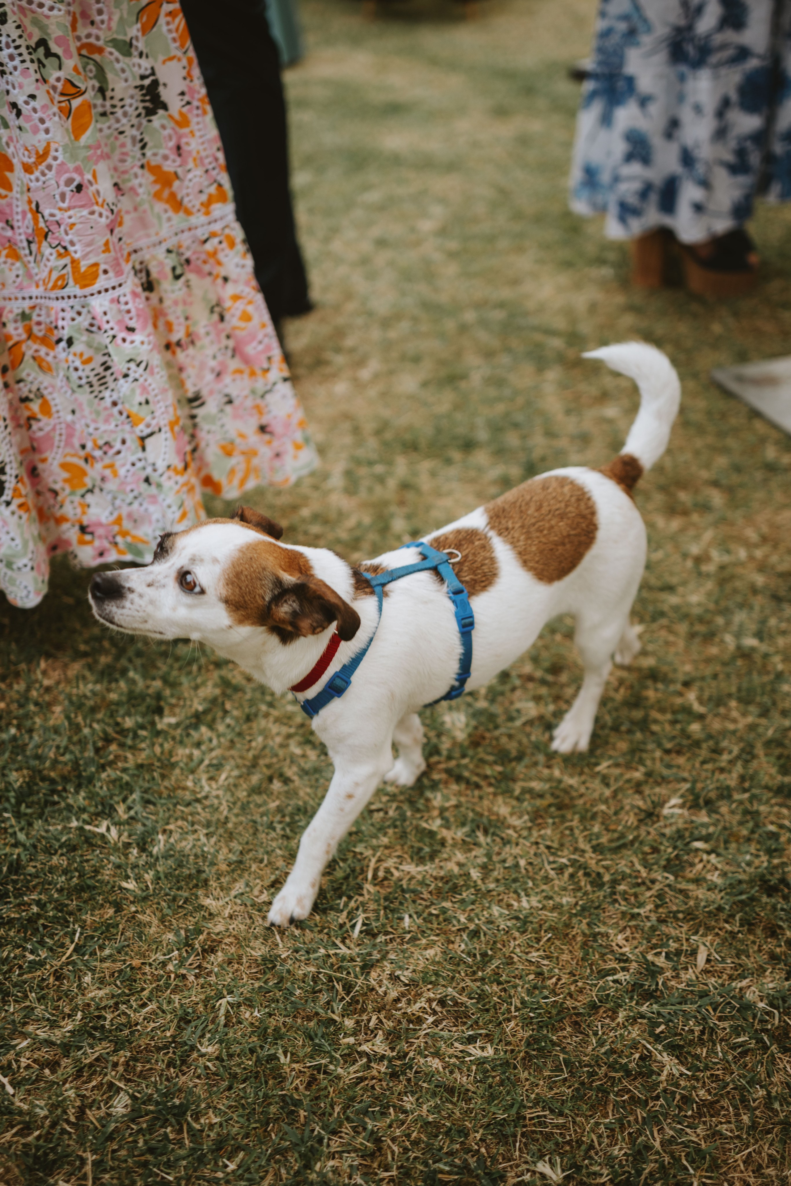Candid Wedding Photography Tuscany | Antonio & Constanza’s Timeless Story. Wedding Photographer in Florence, Pisa & Tuscany | Candid & Elegant Photography in Italy