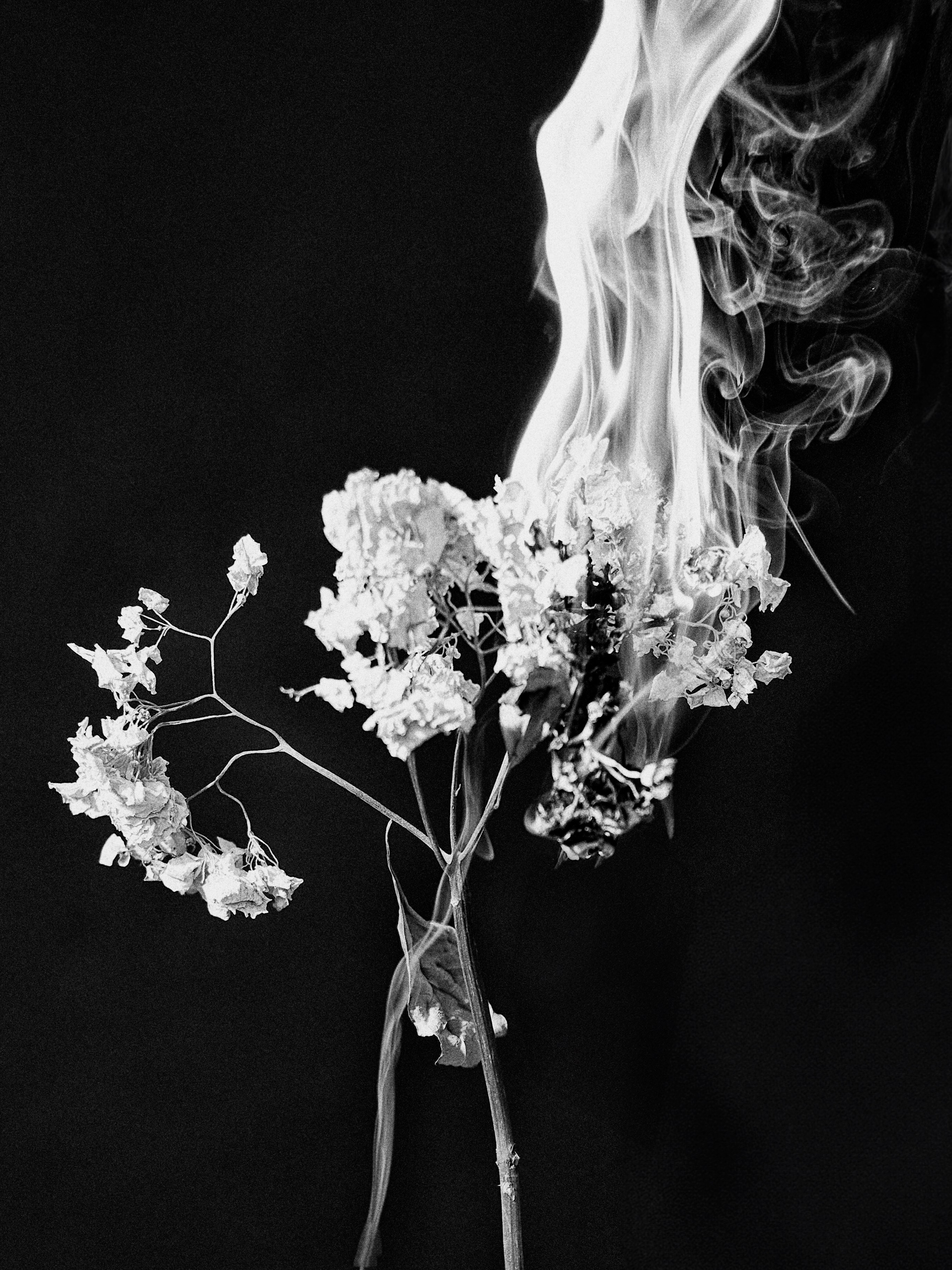 Buy Gift Certificate