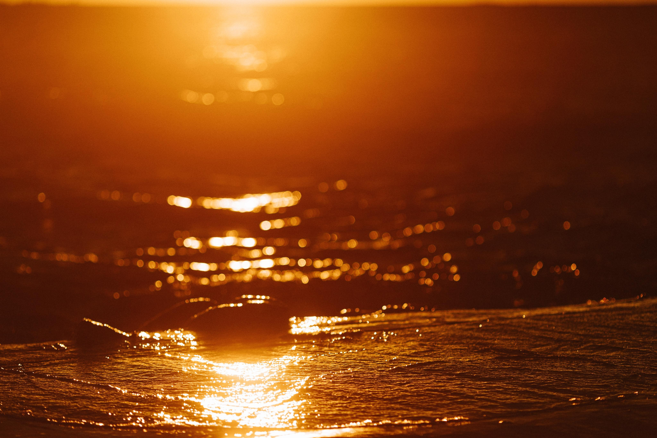 Свадебный фотограф в Риге Руслан Федюшин