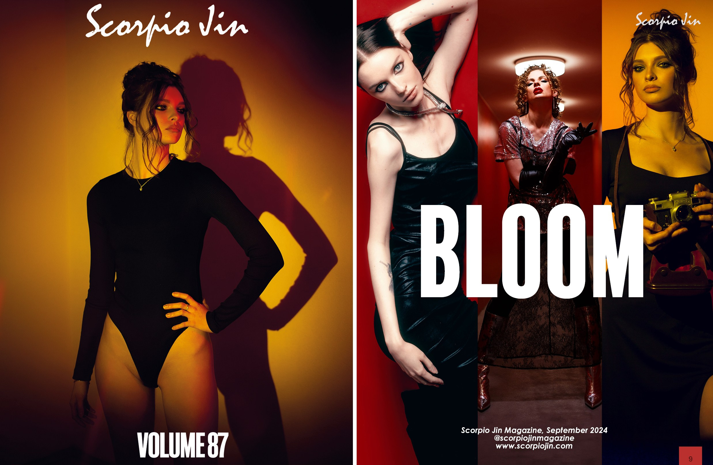 Print publication in fashion-magazine Scorpio Jin (Miami, USA). Фотограф Ігор Тополенко Арт- фото та весільна фотографія Україна Київ