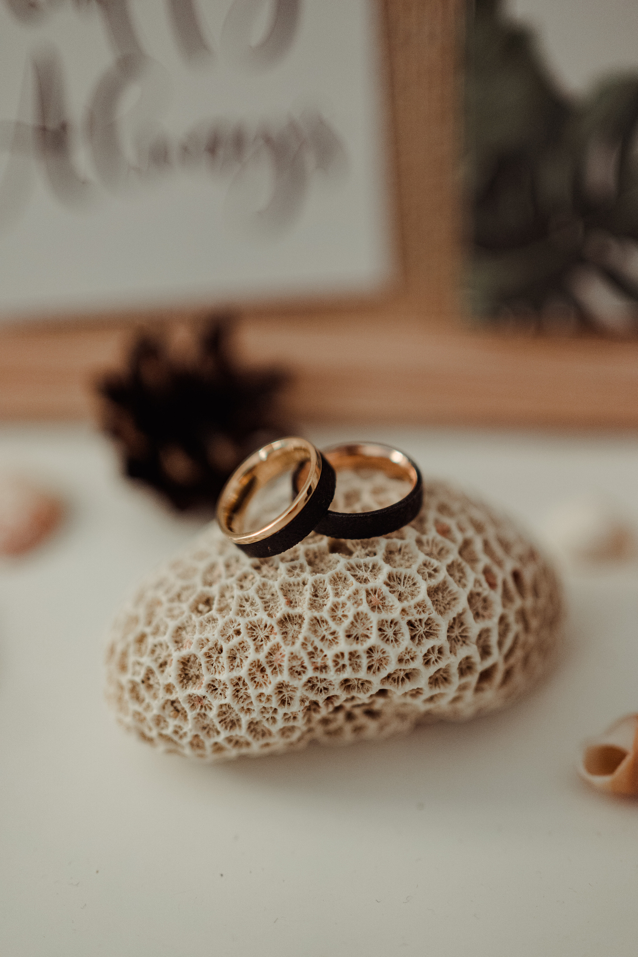 Emilis ir Karolina. Authentic Wedding Videography