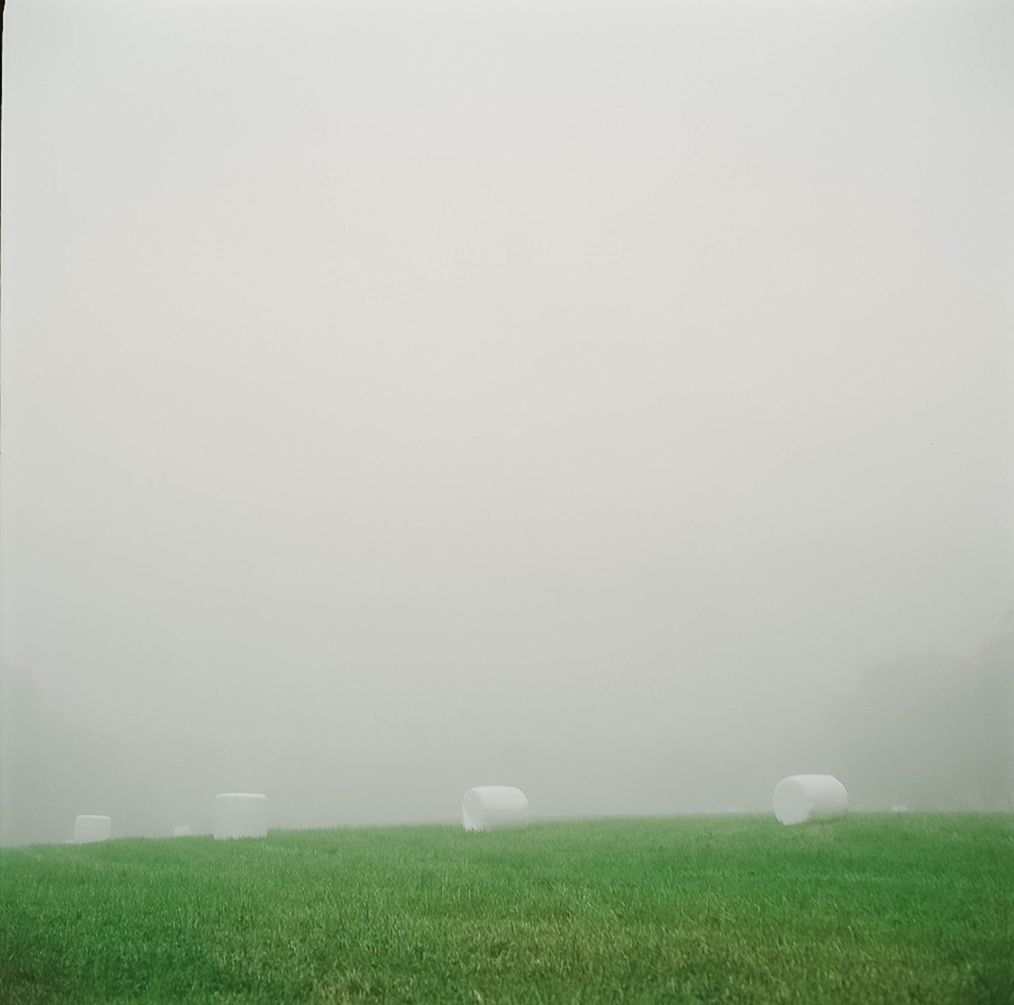 Summertime. Maria Węsławska-Gribina