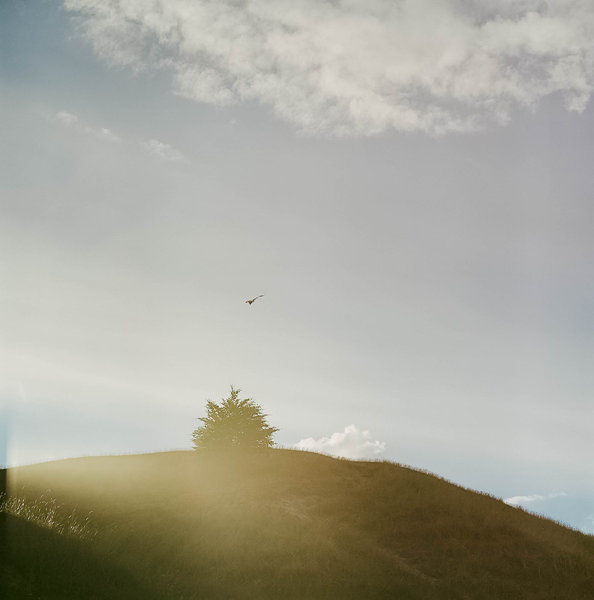 Summertime. Maria Węsławska-Gribina