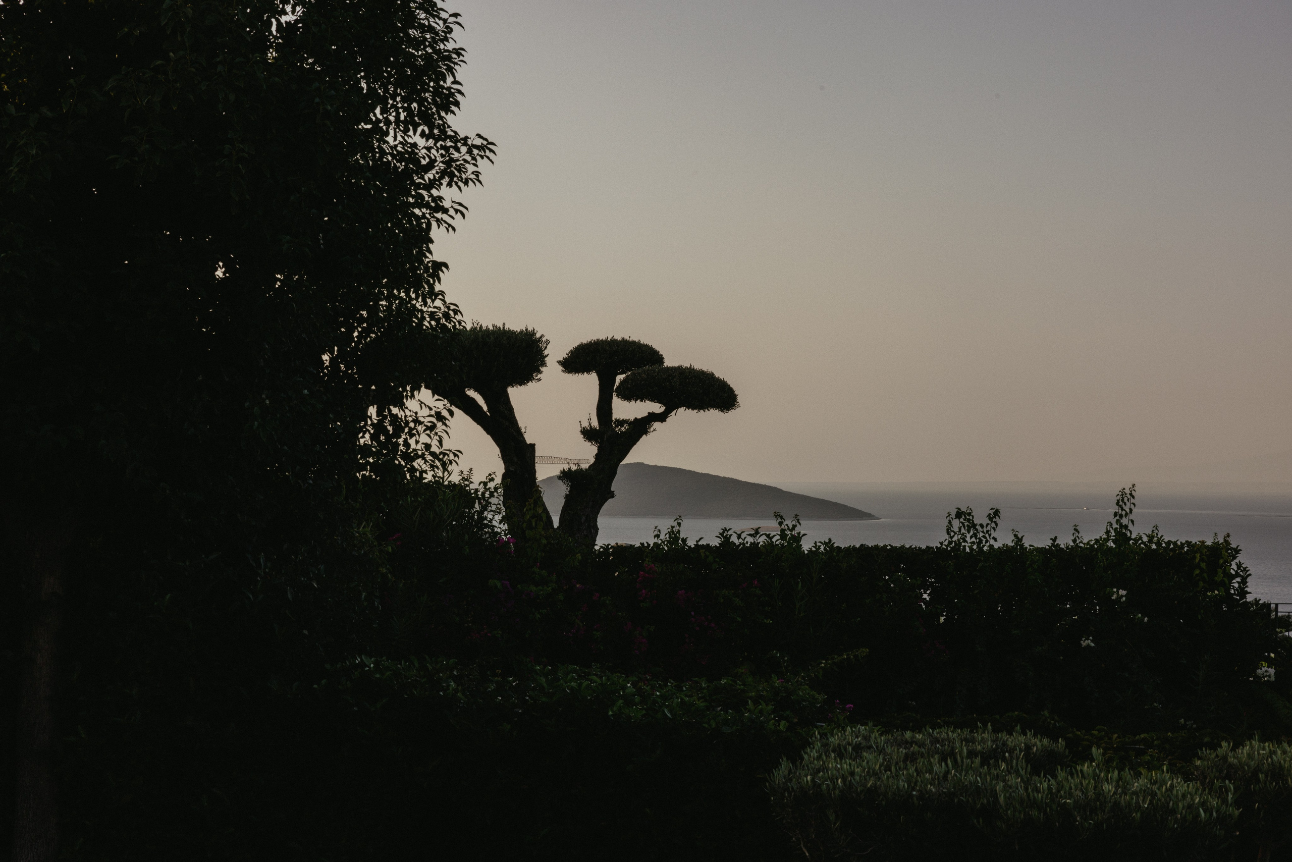 90th ANNIVERSARY. Ivan Skufinsky — wedding and family photographer in Vancouver